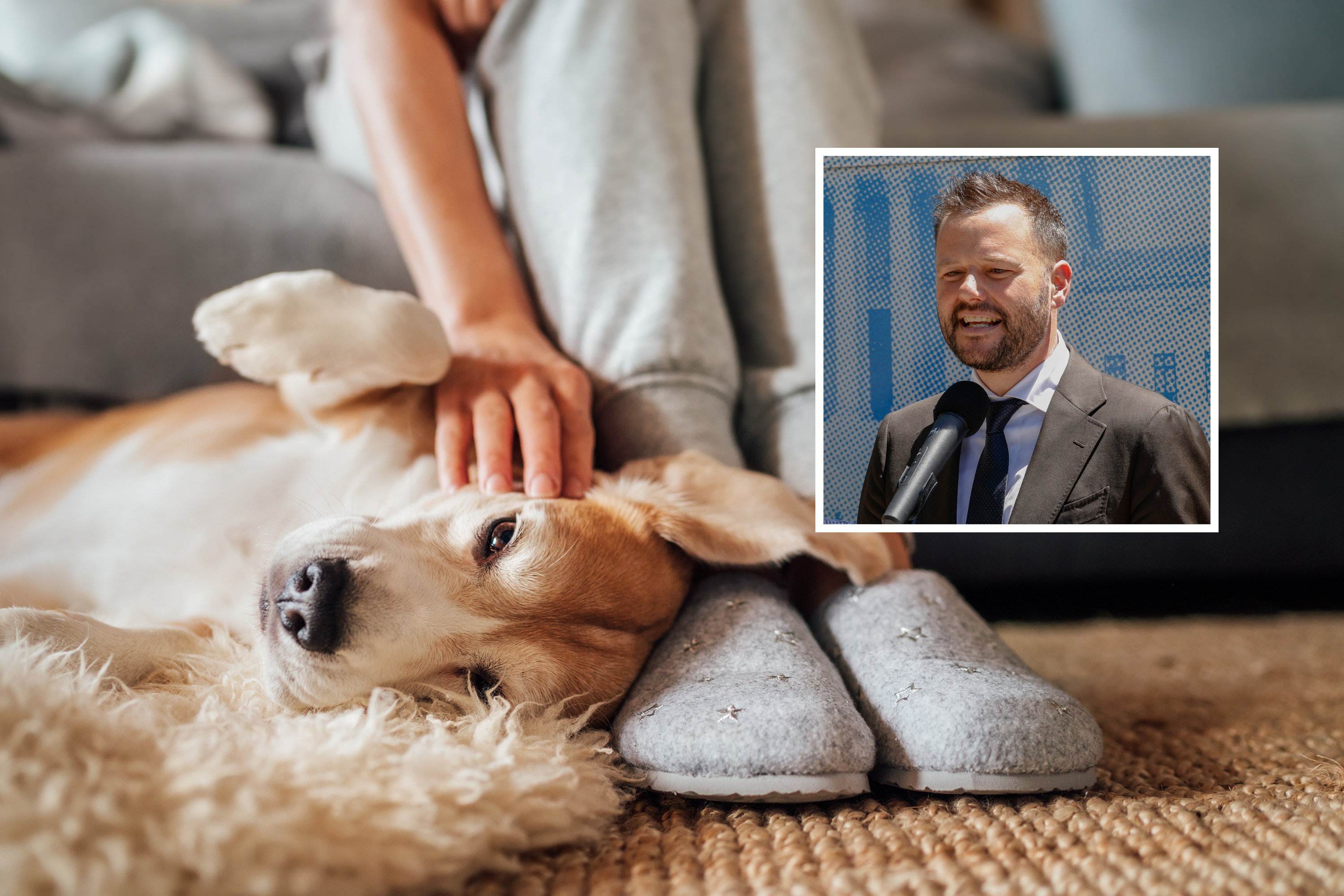 Pet Laws Could Change for Millions in California Pet Laws Could Change for Millions in California