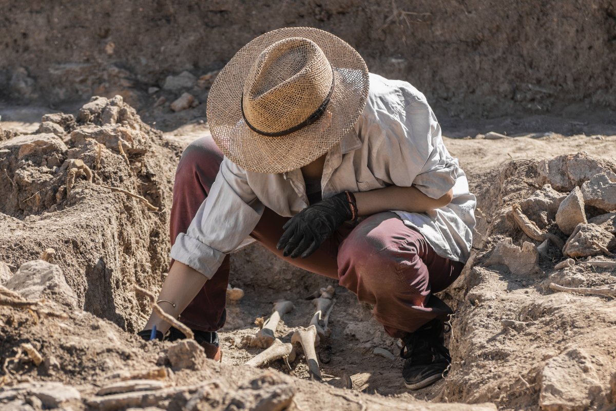 An archaeologist during an excavation