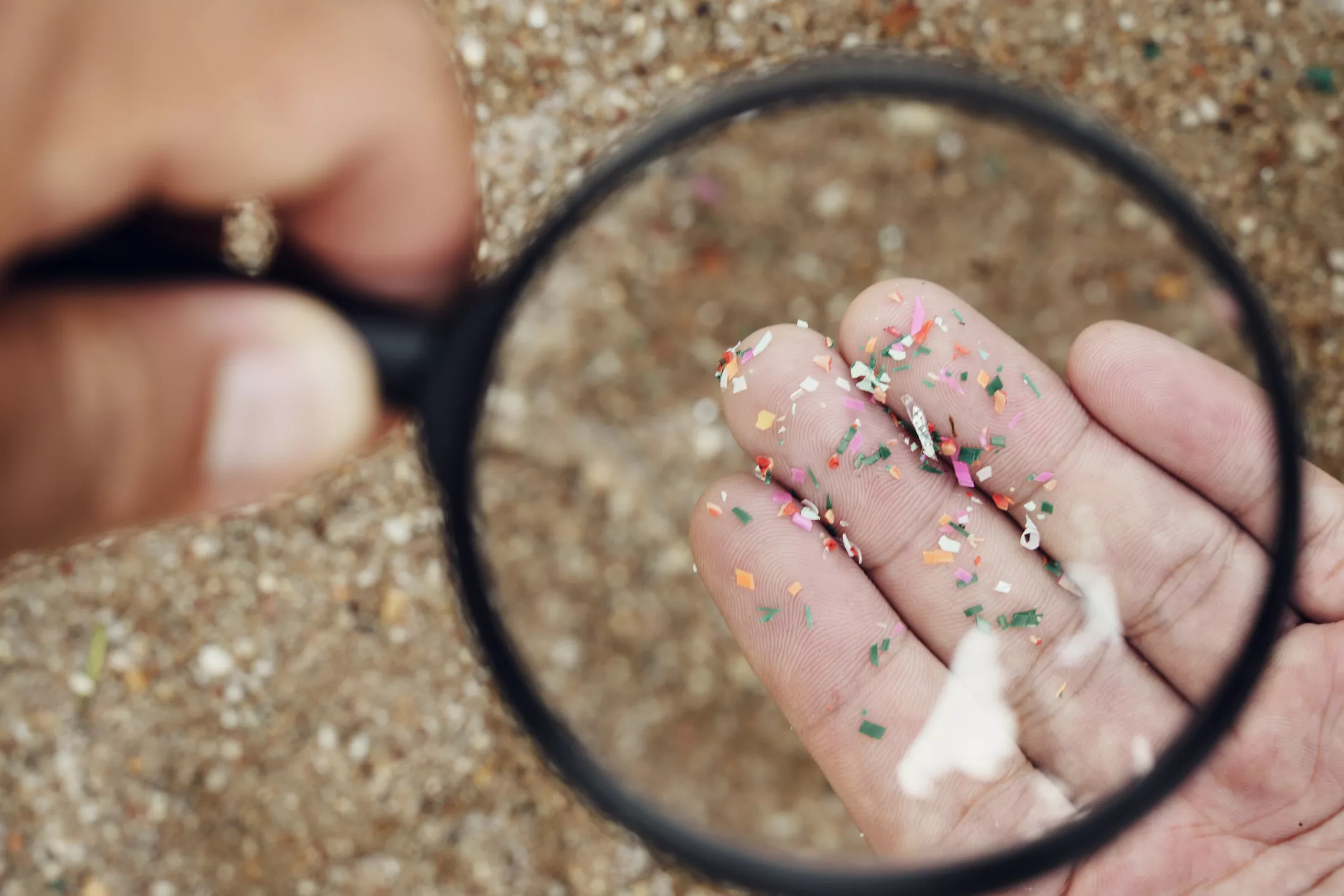 Placenta Study Reveals Troubling Pervasiveness of Microplastics - Vimarsana News