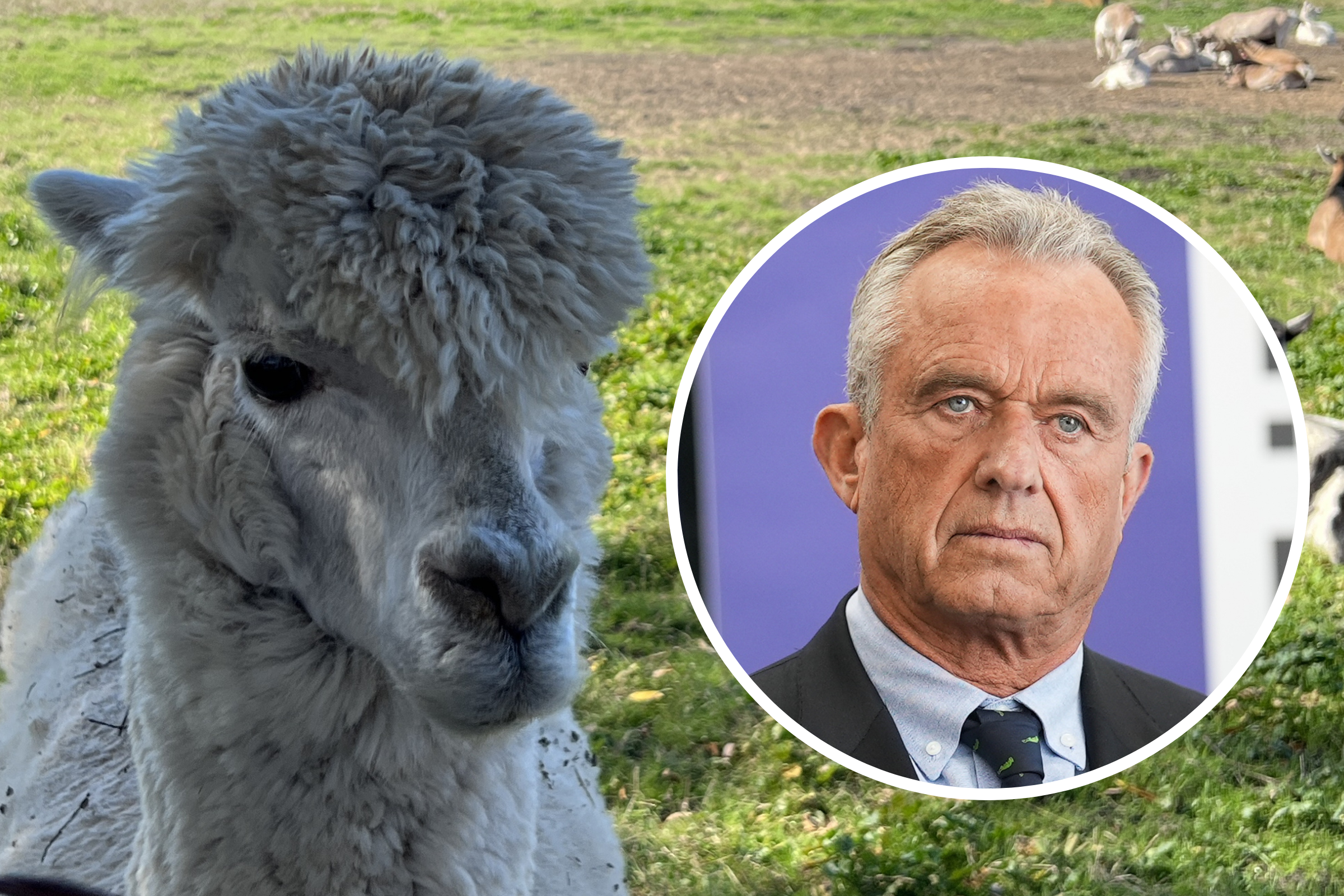 RFK Jr. Gets Strange $100K Donation