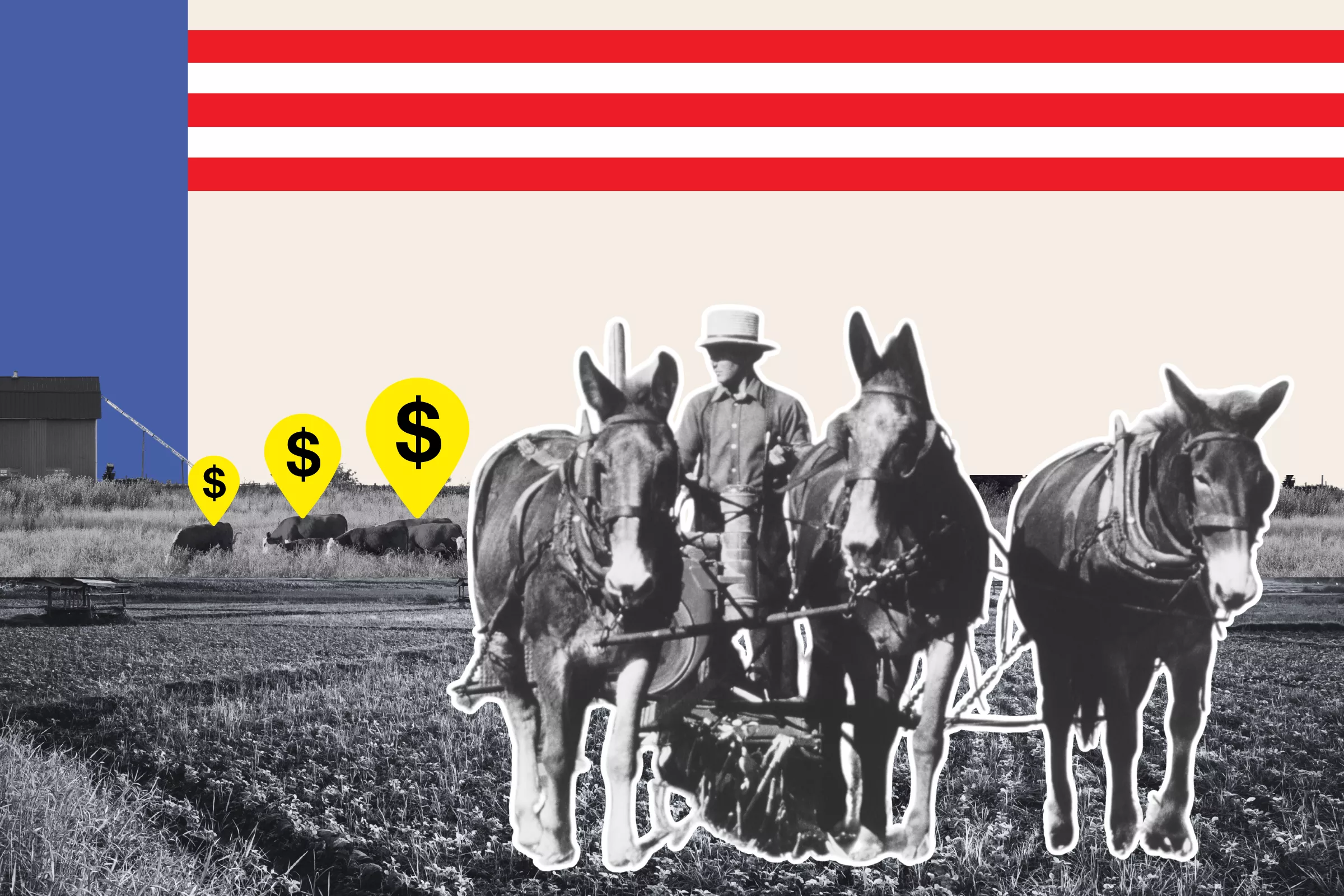 Amish Farmer Turned Republican Hero Becomes Flash Point in Culture War - Vimarsana News