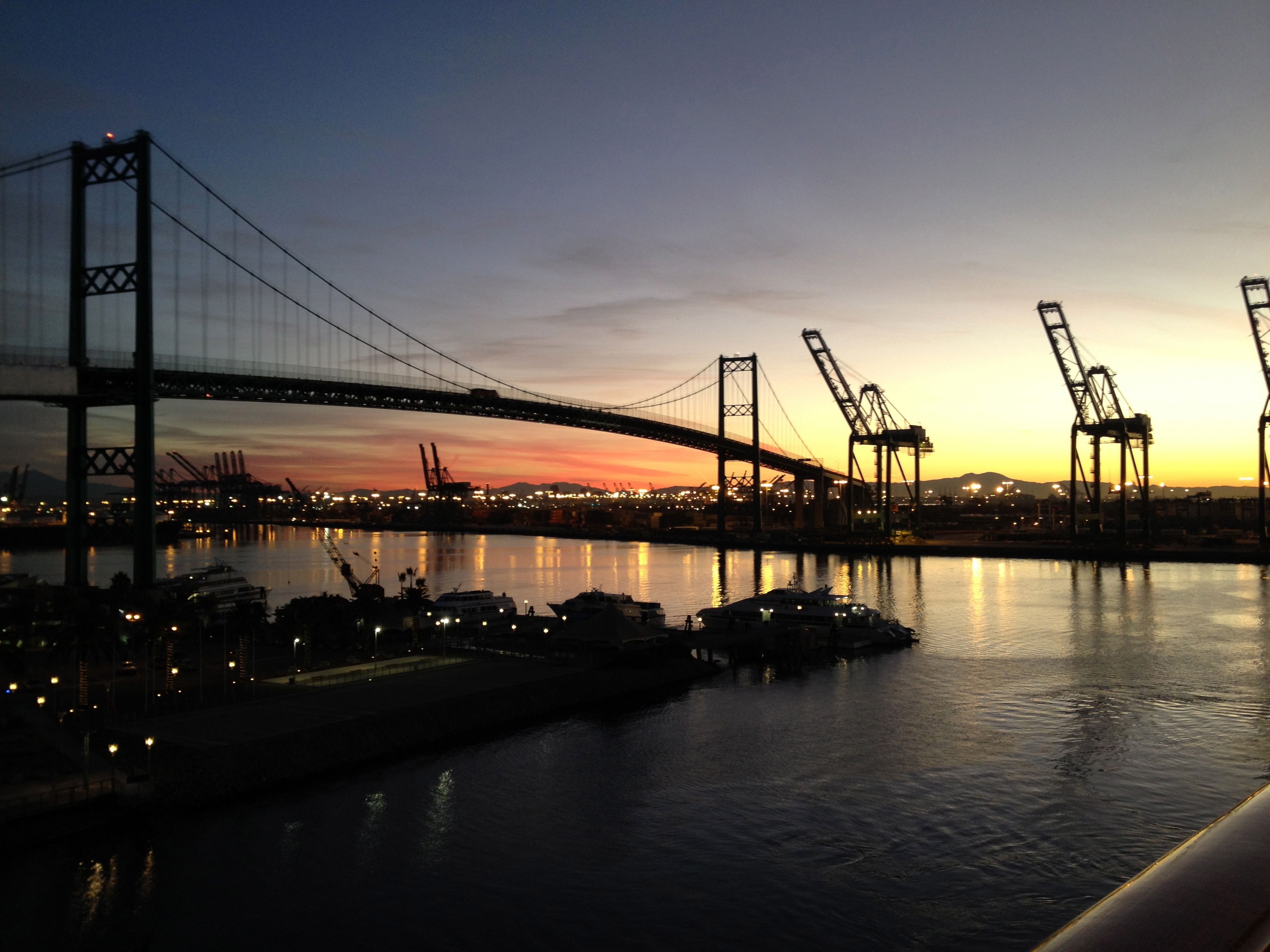 Heart-Stopping Moment Woman Climbs Over Railing To Save Dog Stuck on Bridge