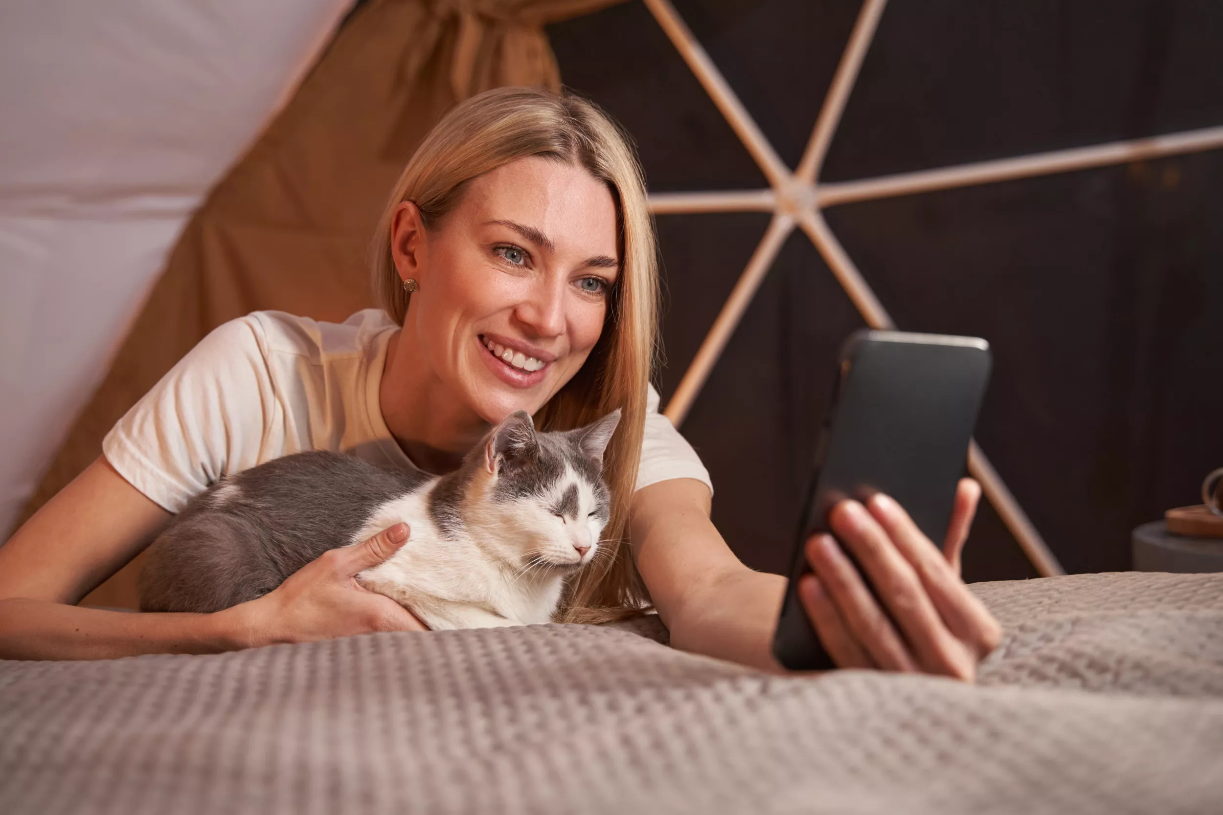 Woman Makes Fun of Cat's Selfie Pose, He Responds Accordingly - Vimarsana News