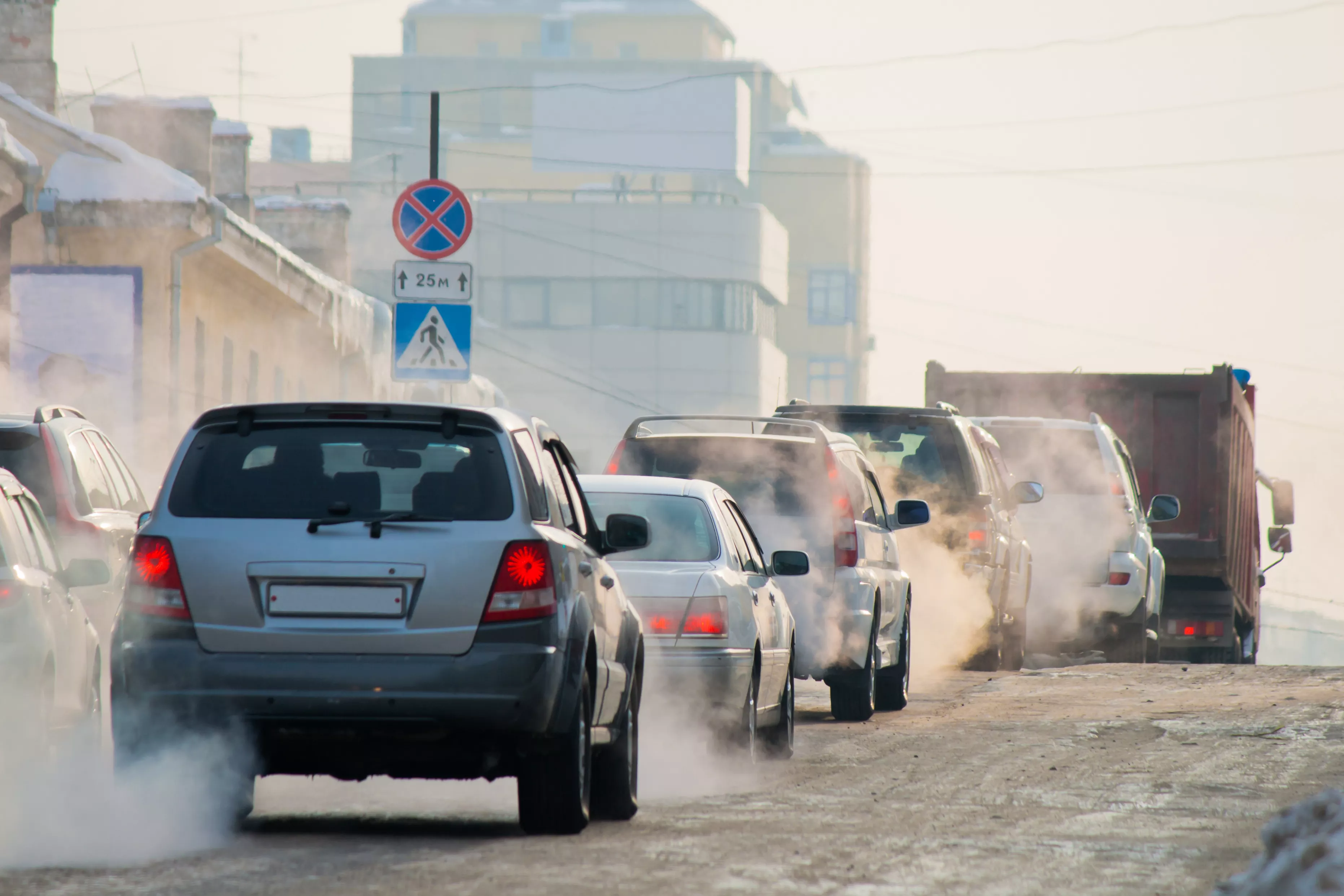 Breathing In Diesel Fumes Is Crippling Our Immune Systems - Vimarsana News