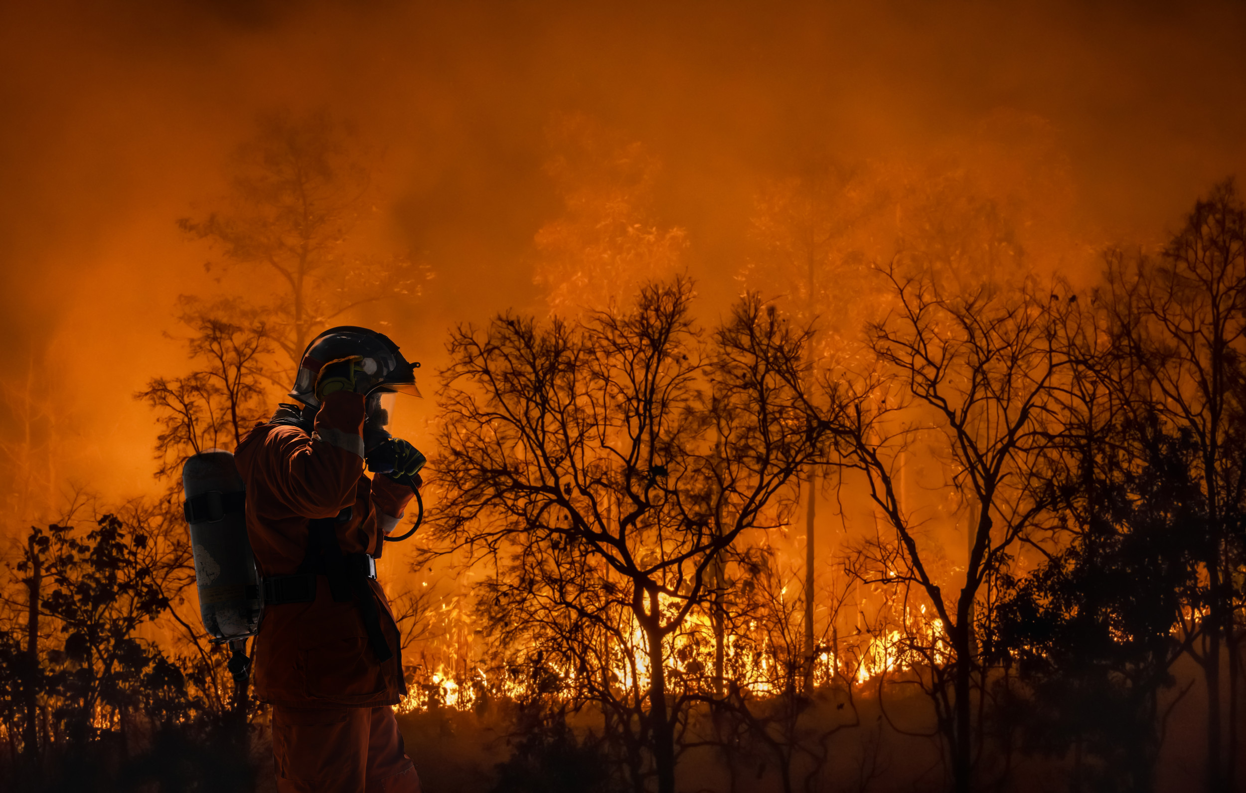 Pacific Northwest Will Be Next Victim Of Increasing Wildfires Newsweek
