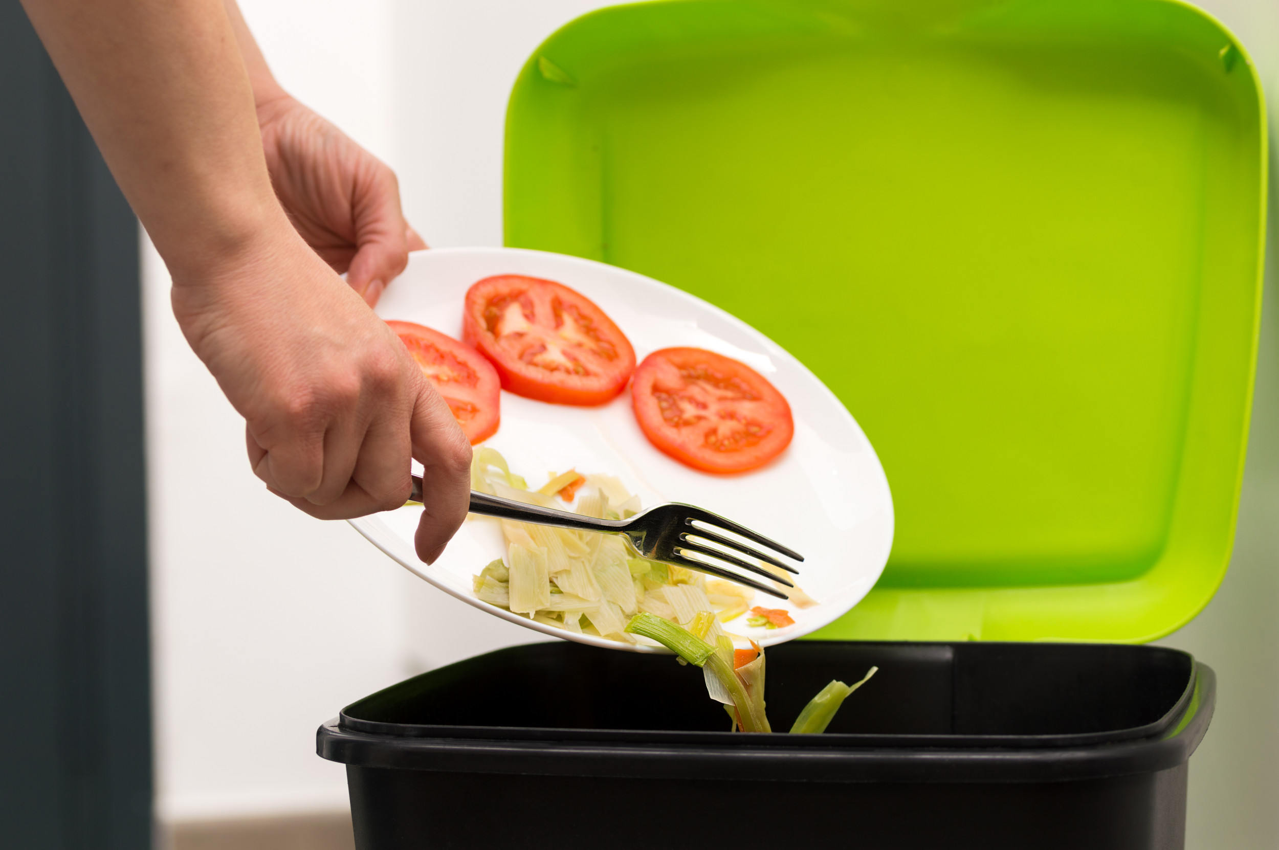 Woman Goes to Throw Away Leftovers, Finds Two Eyes Staring Back at Her - Vimarsana News