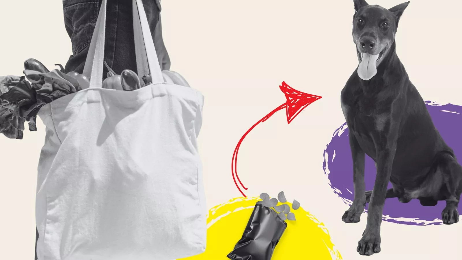 Dog ate plastic grocery bag outlet