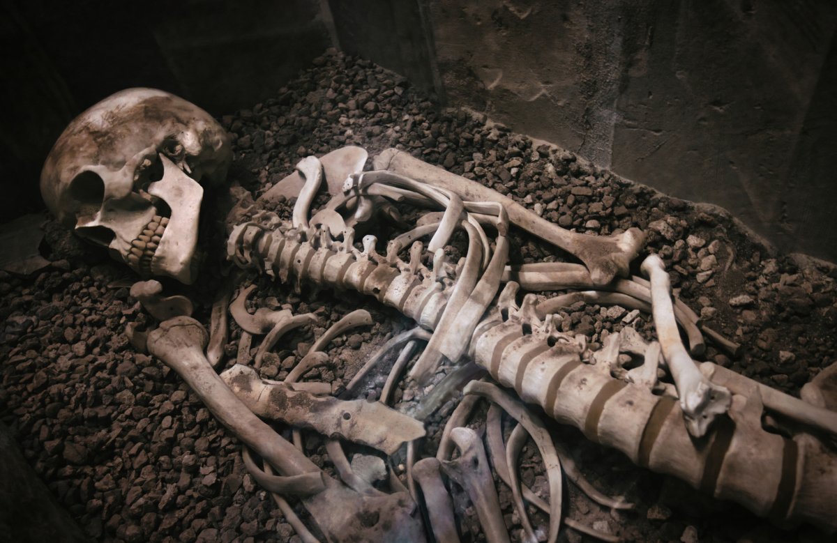 A human skeleton in a sarcophagus
