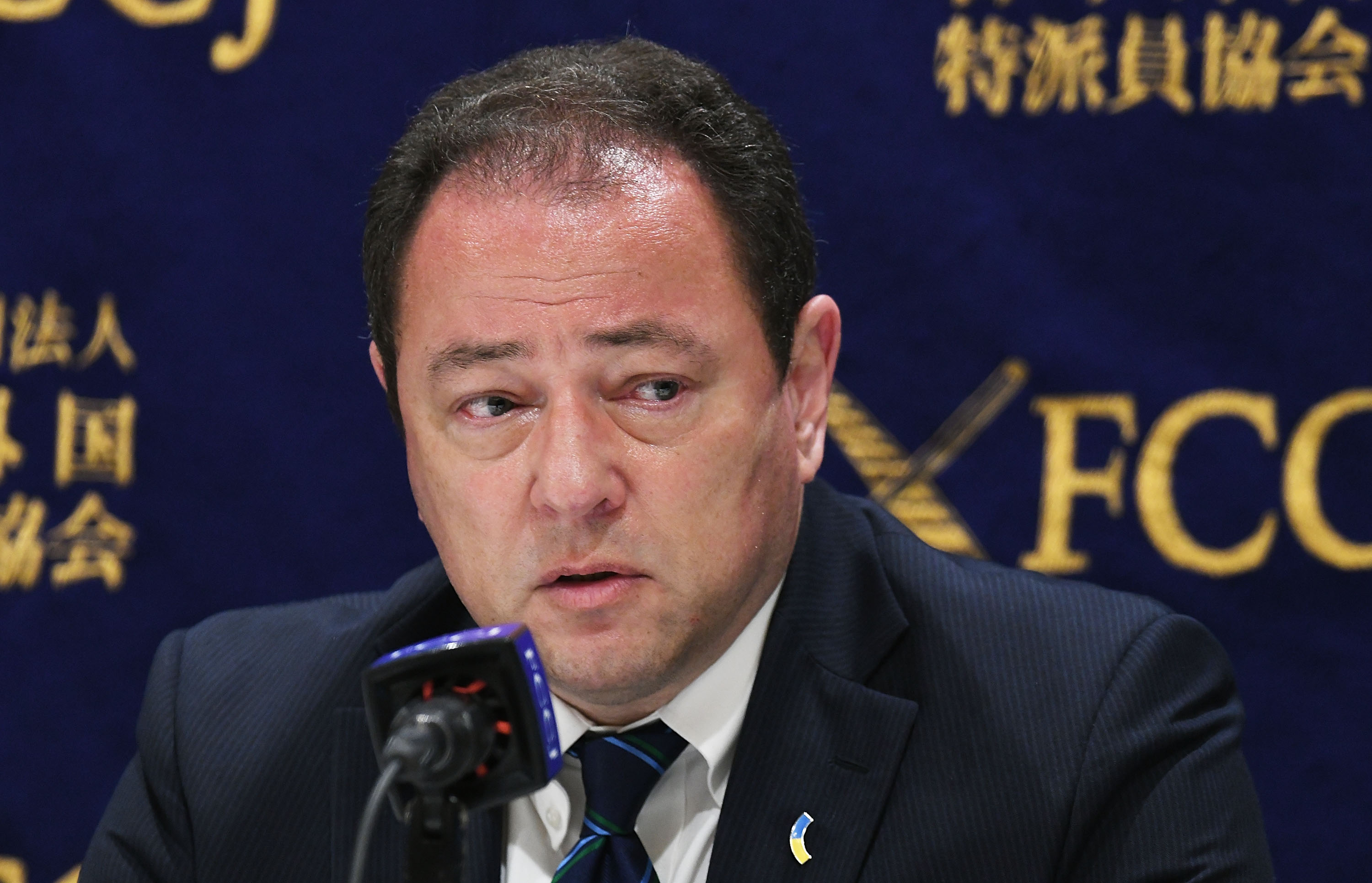 Ukraine in Security Deal Talks With US Ally, Ambassador Says