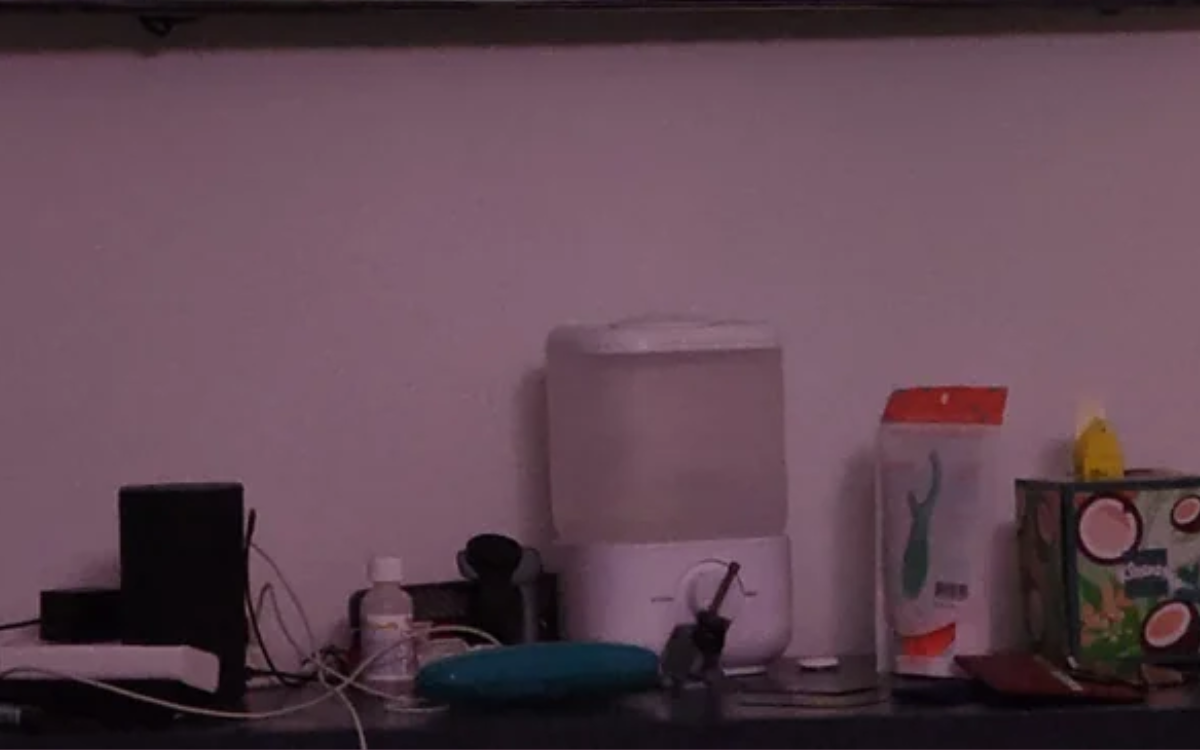 Woman Puts Humidifier in Room. No One Expects What Happens Two Weeks Later