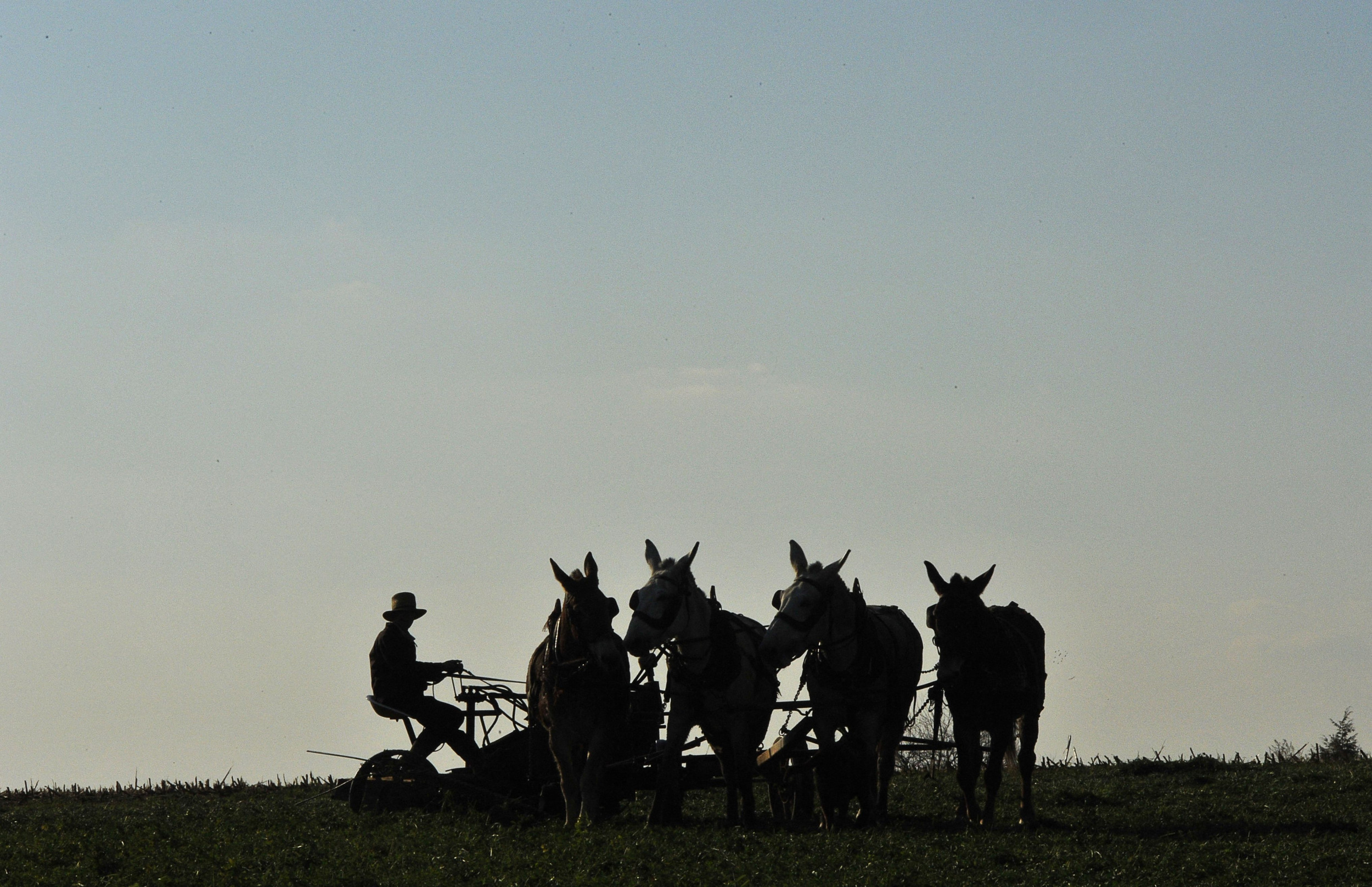 Amish Farmer Turned Republican Hero Sparks Protest Over Raw Milk