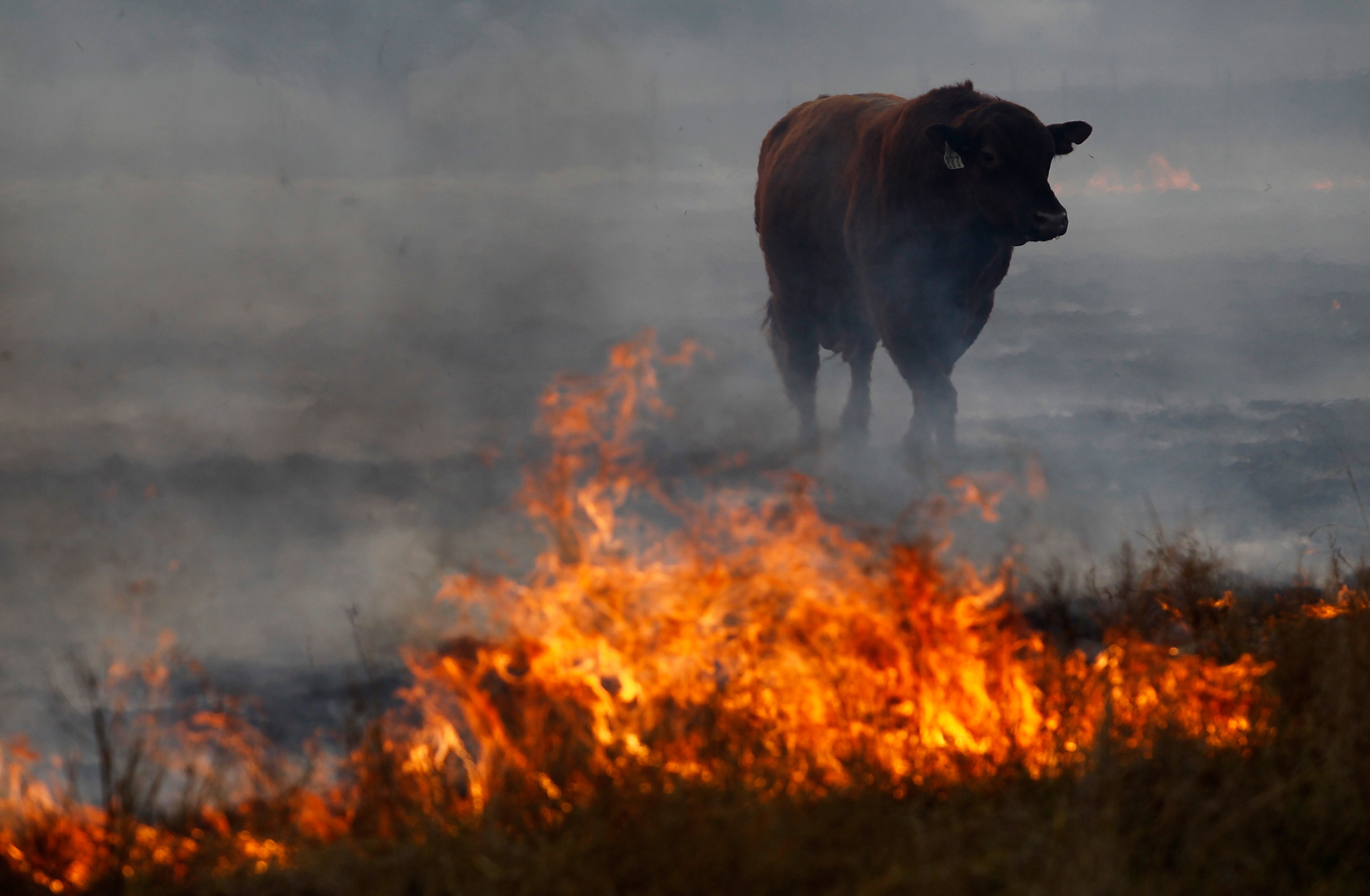 Texas Wildfire Suddenly Hit With Snow