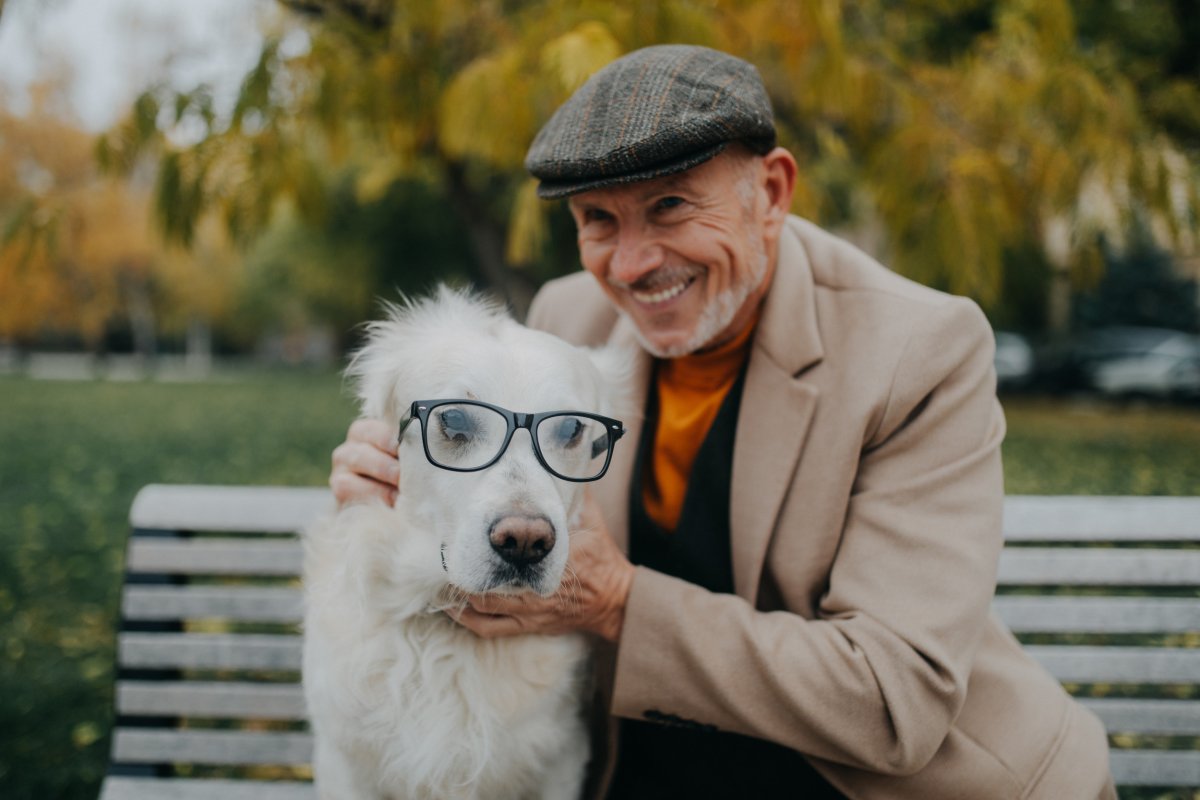 older man senior dog aging supplements stockimage