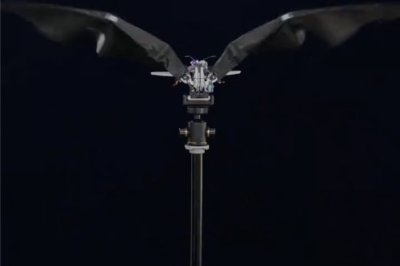 Chinese Scientists Debut Robotic Bird Drone