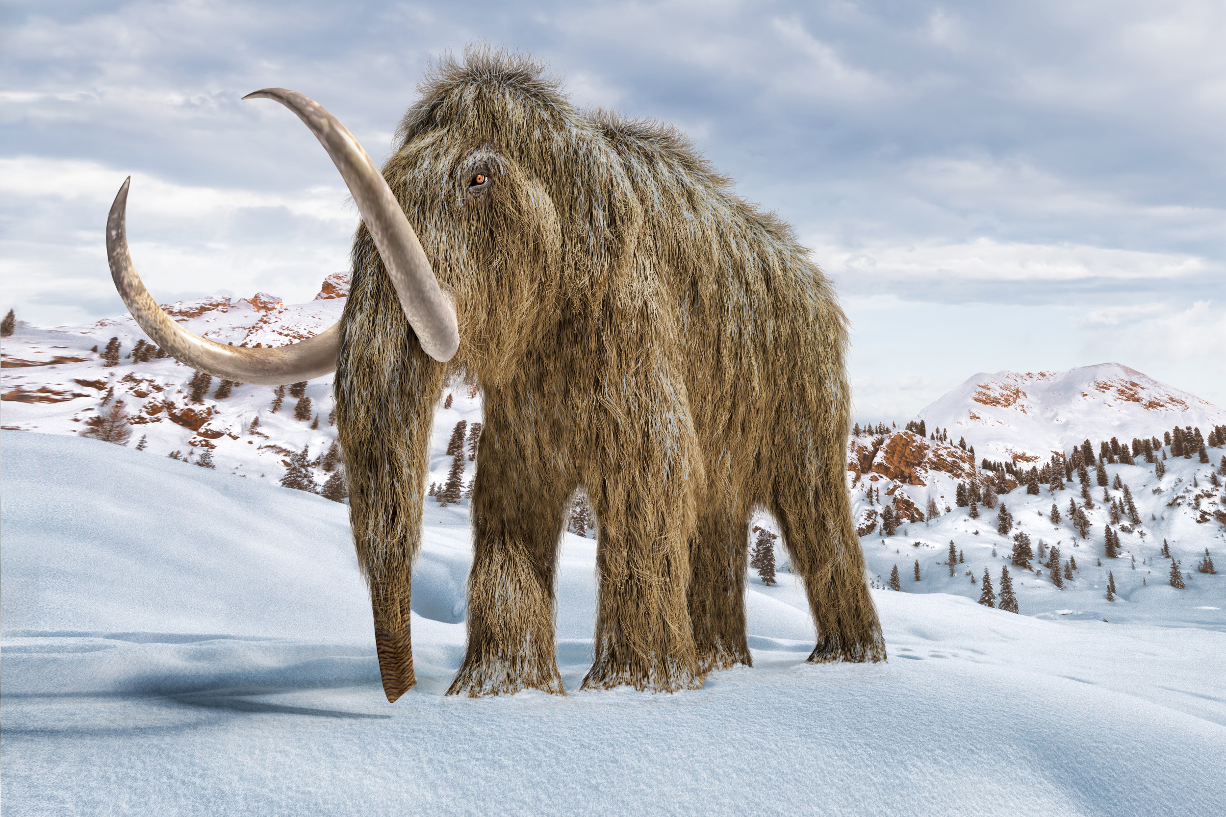 Woolly Mammoth Resurrection a 'Momentous' Step Closer, Firm Claims