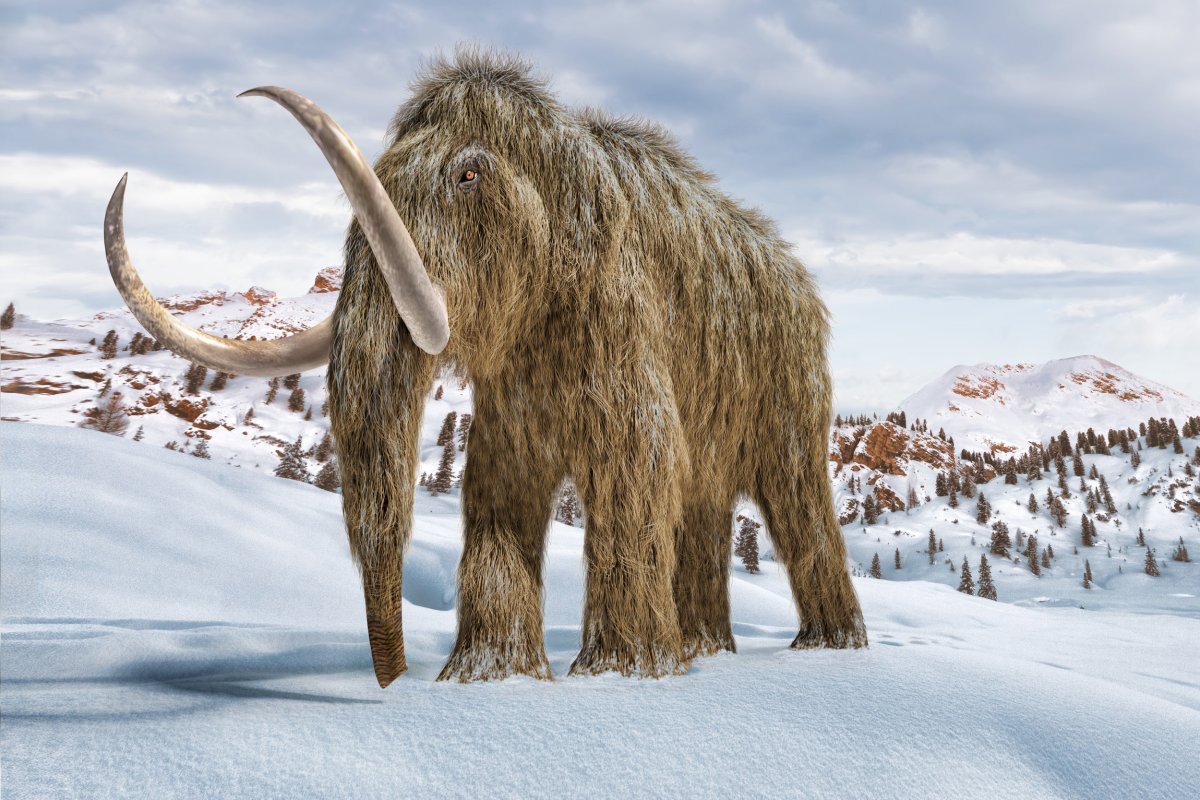 A computer-generated woolly mammoth in the snow