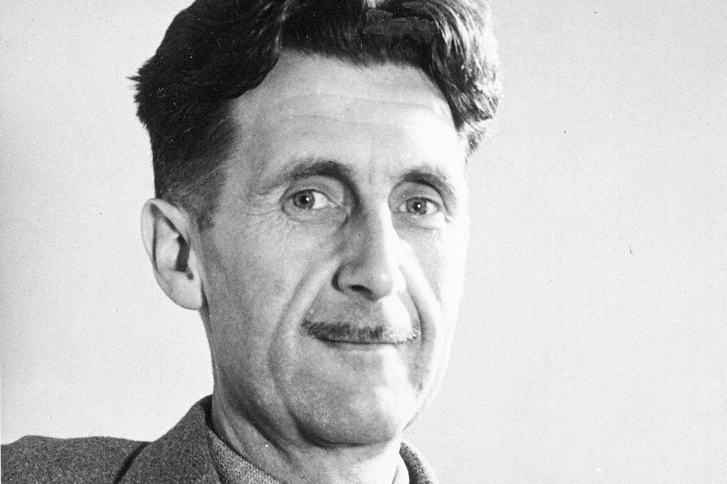 1984:George Orwell's Dystopian Masterpiece - CYCY Book Store