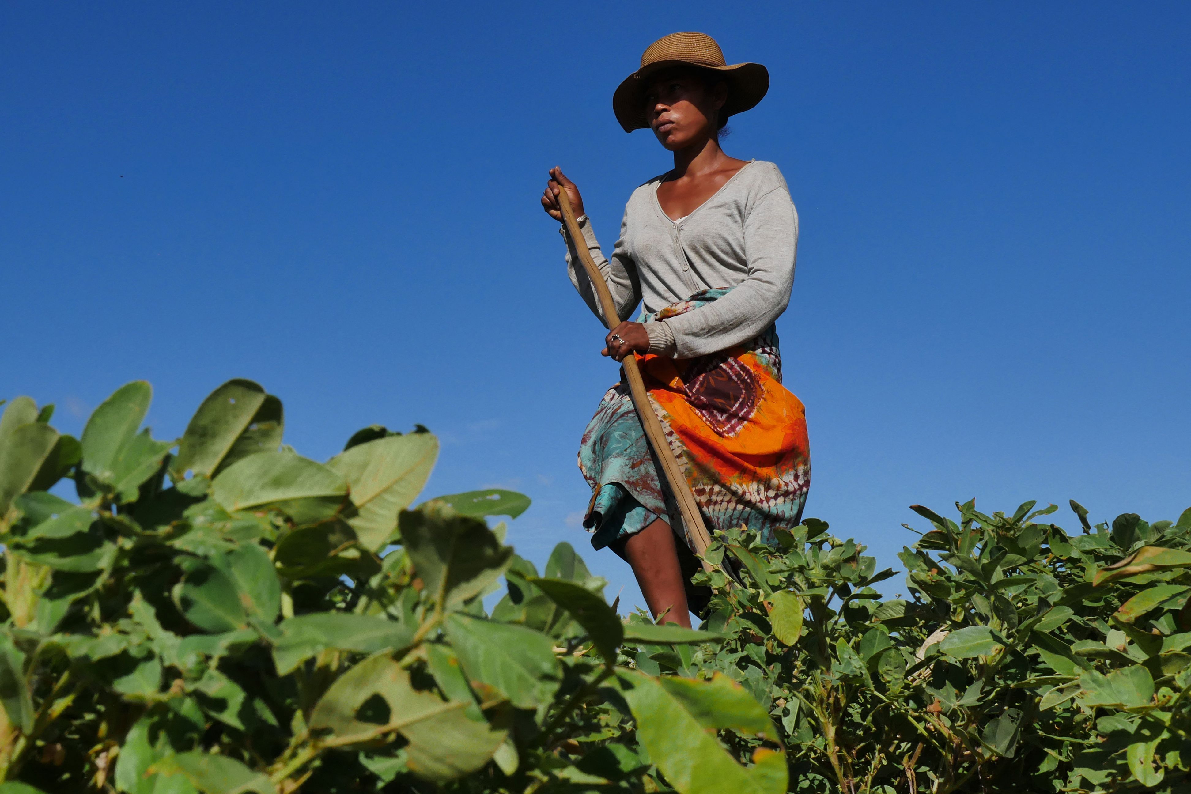 Africa Is Plunging Into a Climate Nightmare While the World Watches | Opinion