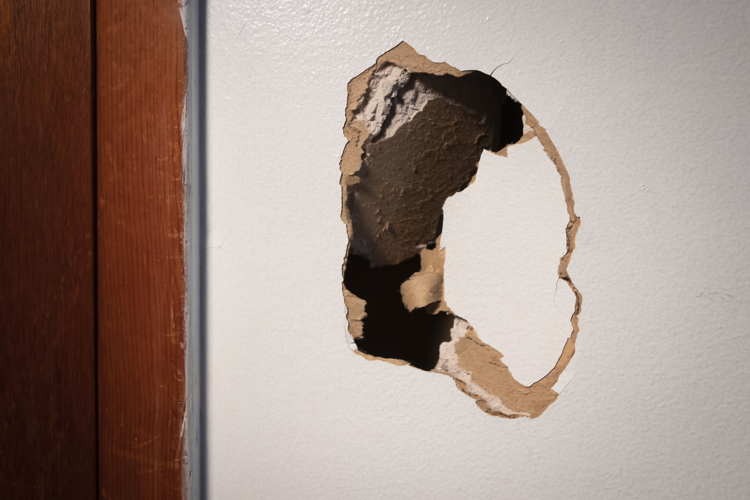 Woman Hears Noises in the Wall—Unprepared for What She Finds Hiding ...