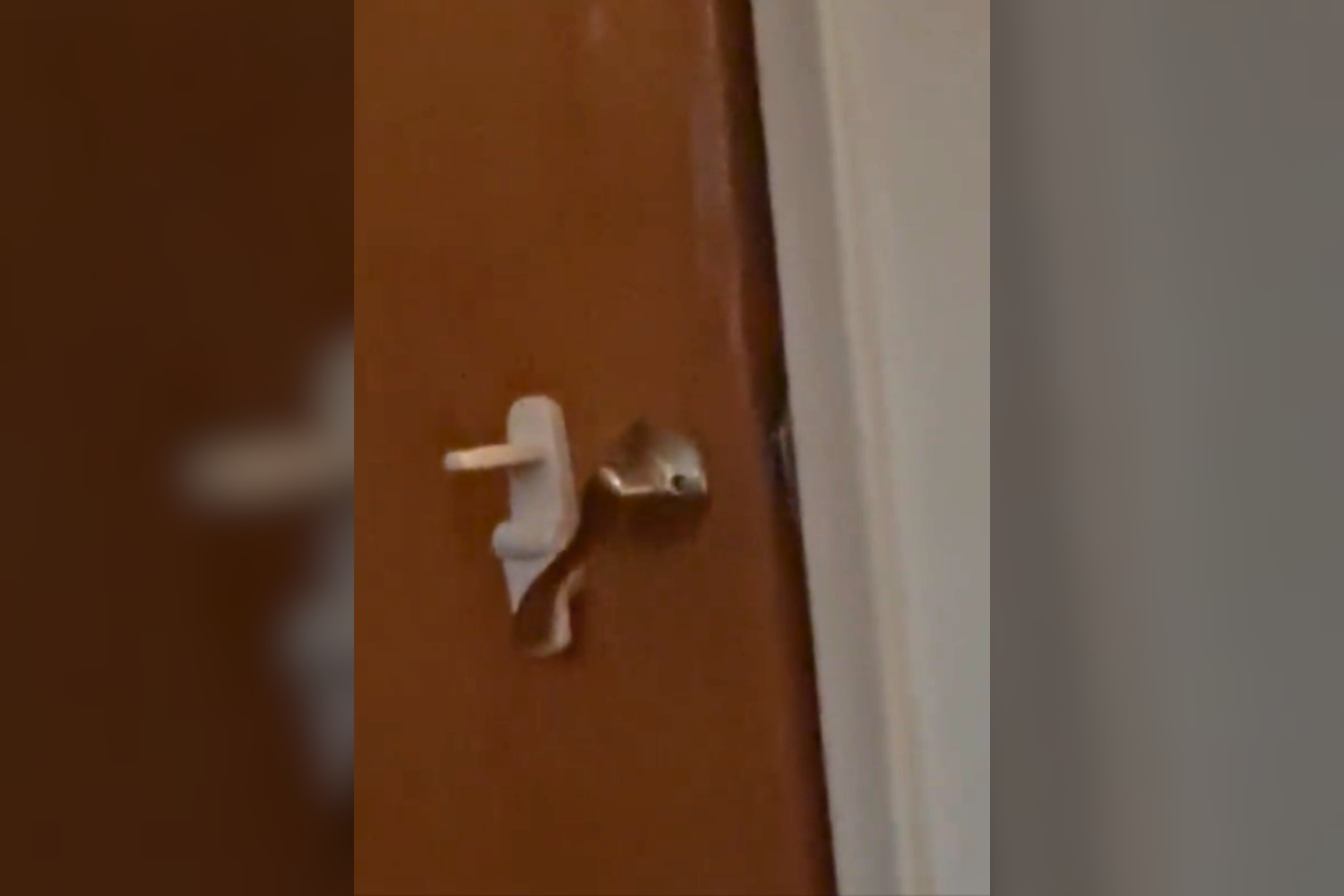 Woman Catches What’s Been Opening Her Door on Camera—Internet Not Prepared