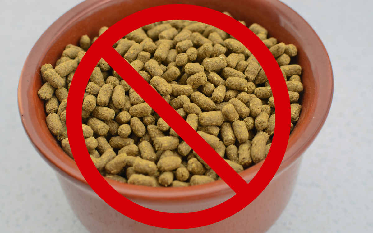 Pet Food Recall Over Salmonella Risk to Animals and Humans