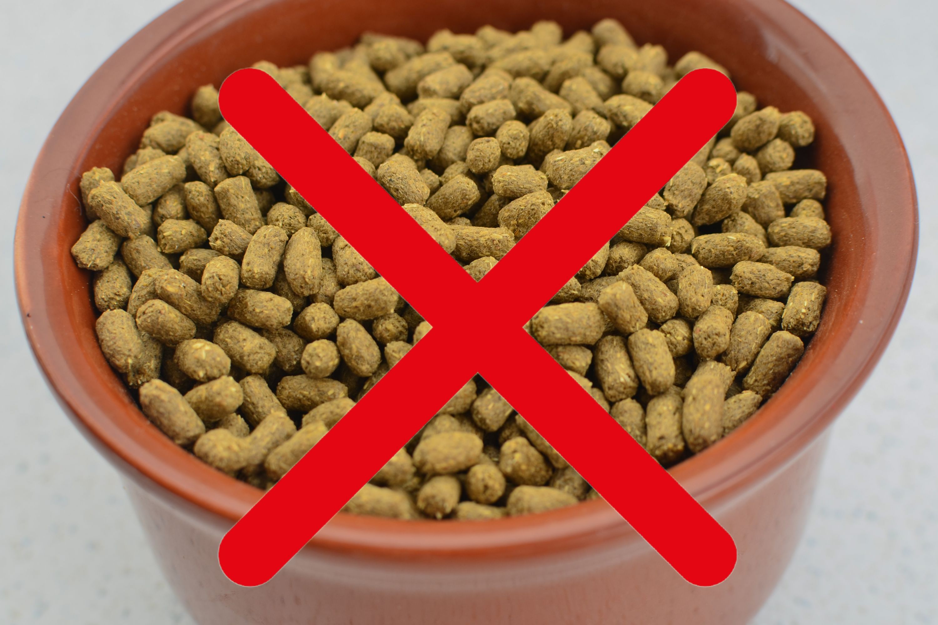 Pet Food Recall Over Salmonella Risk to Animals And Humans