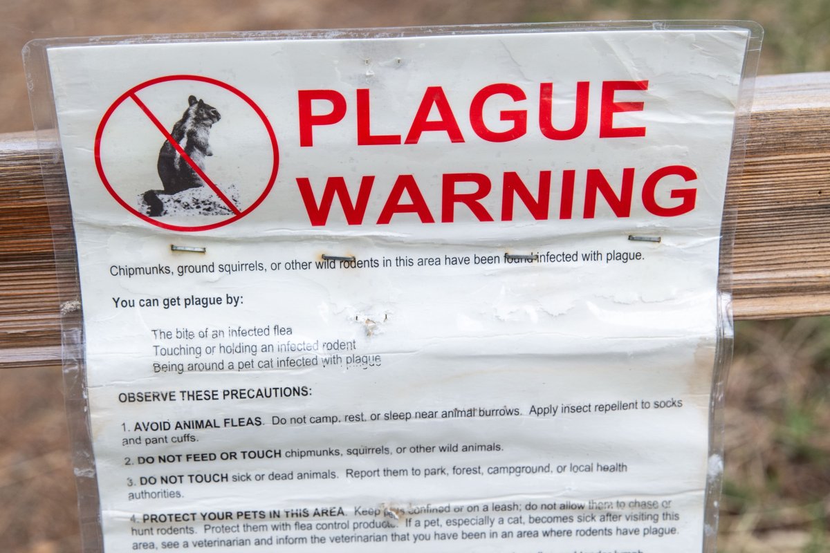 Plague warning California