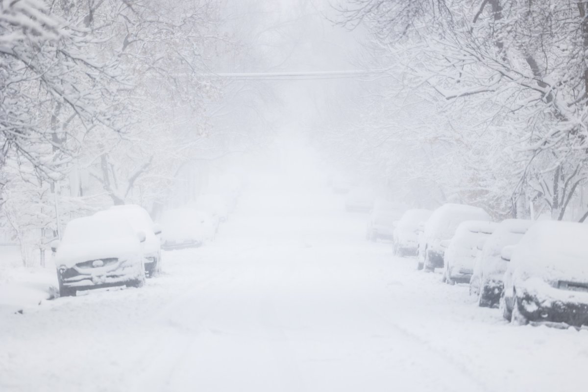 'Incredible' Snowfall During Colorado Storm
