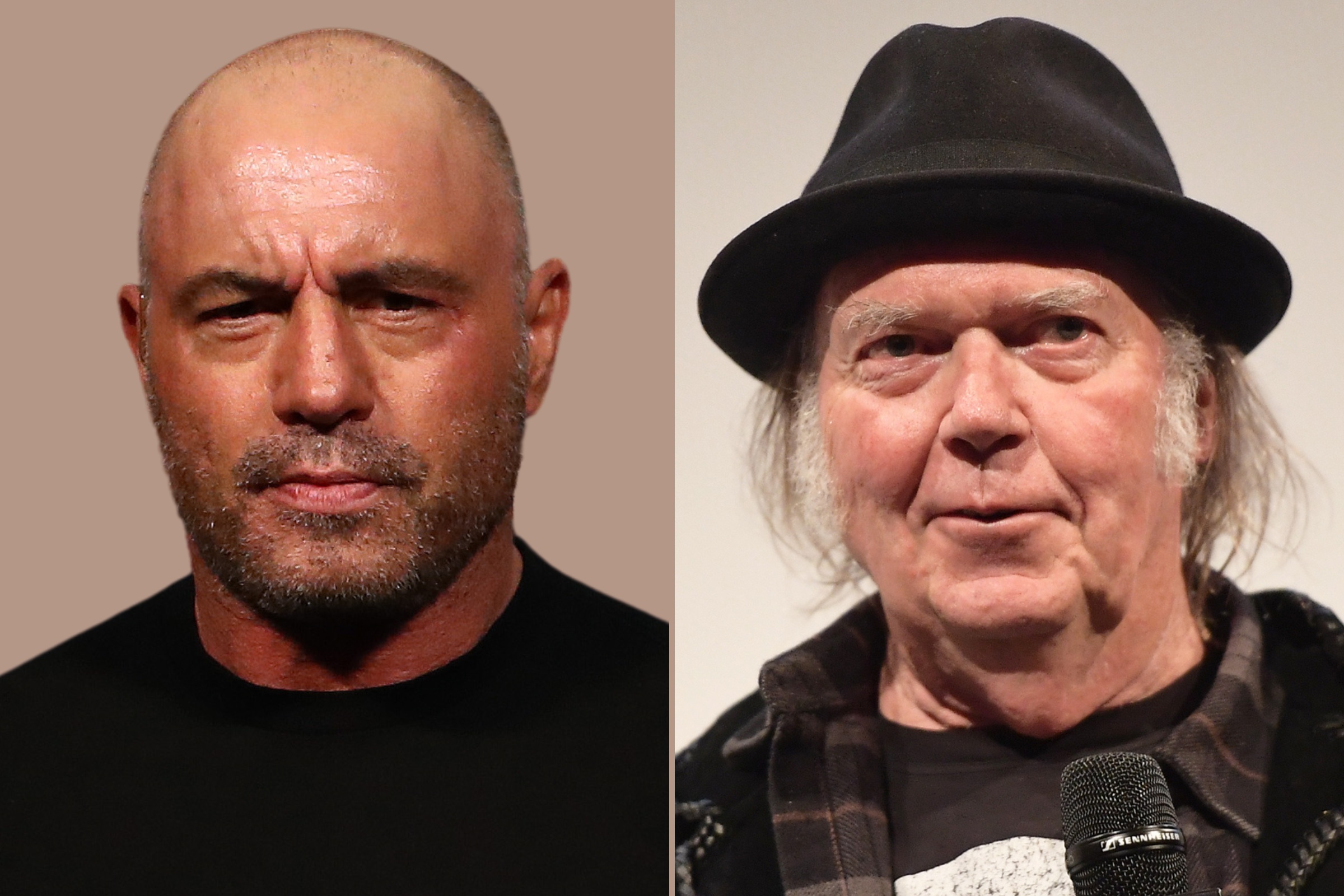 Joe Rogan Reacts to Neil Young Back on Spotify