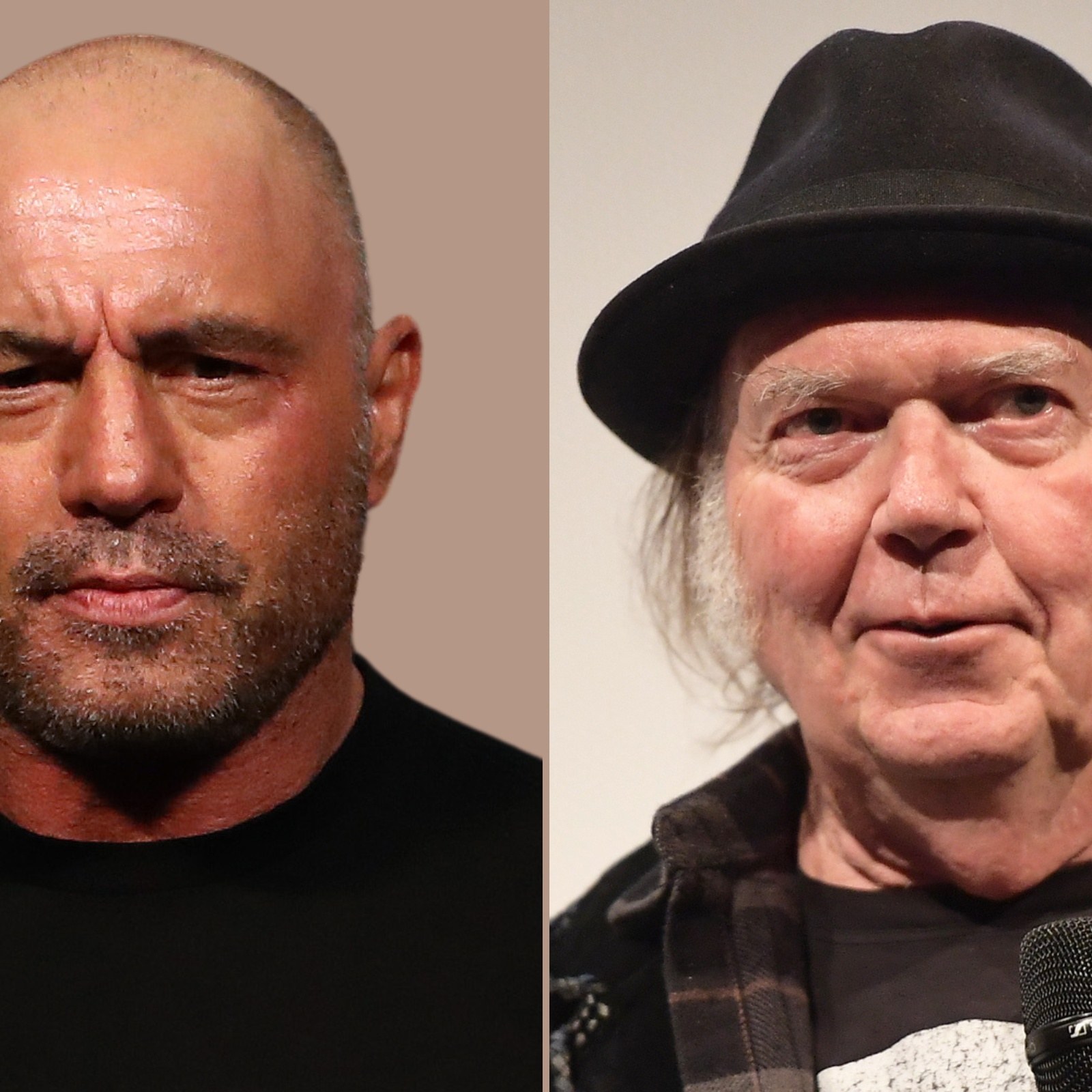 Joe Rogan Young Jamie