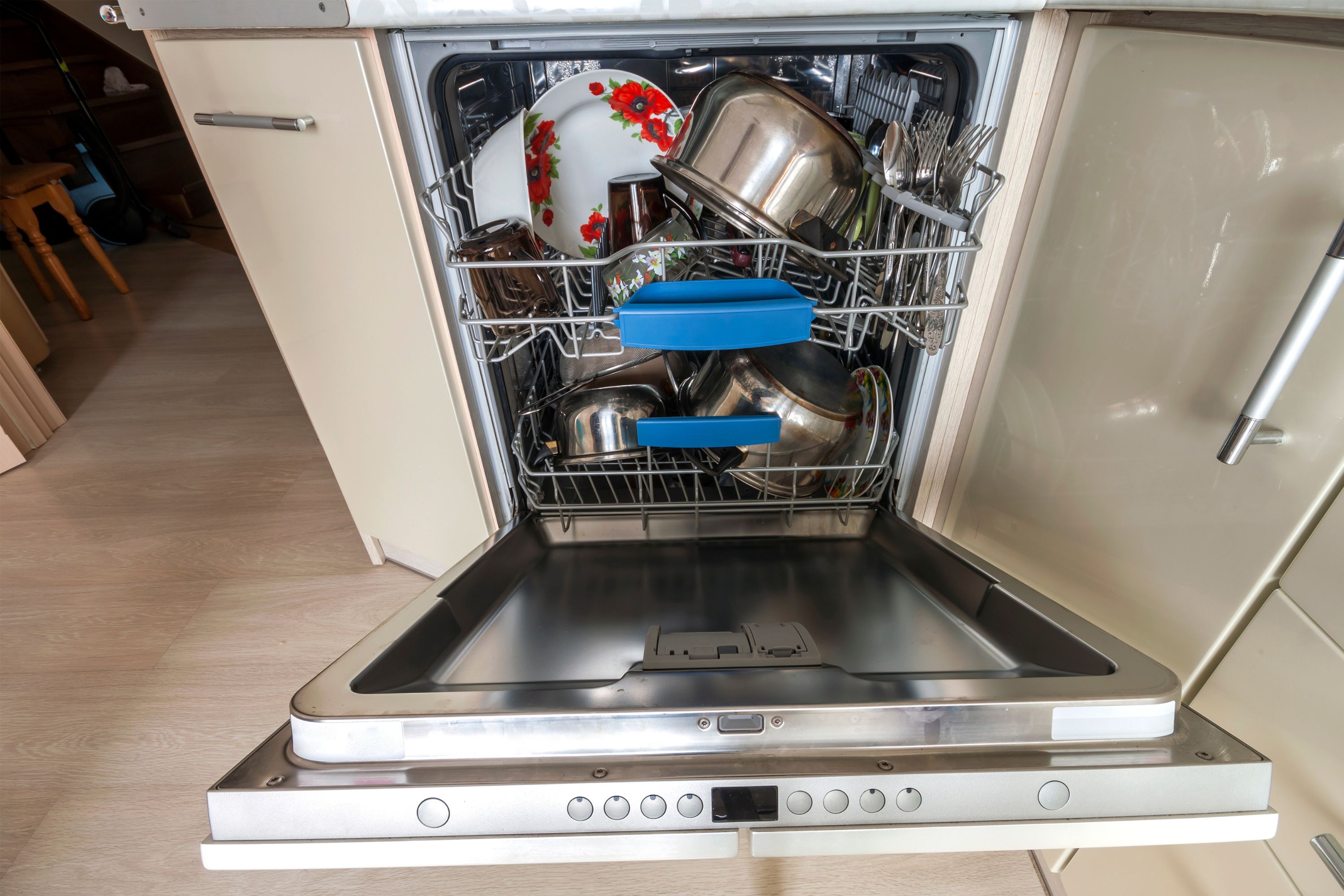 Woman Hears Strange Noise From the Dishwasher&mdash;Unprepared for What She Finds