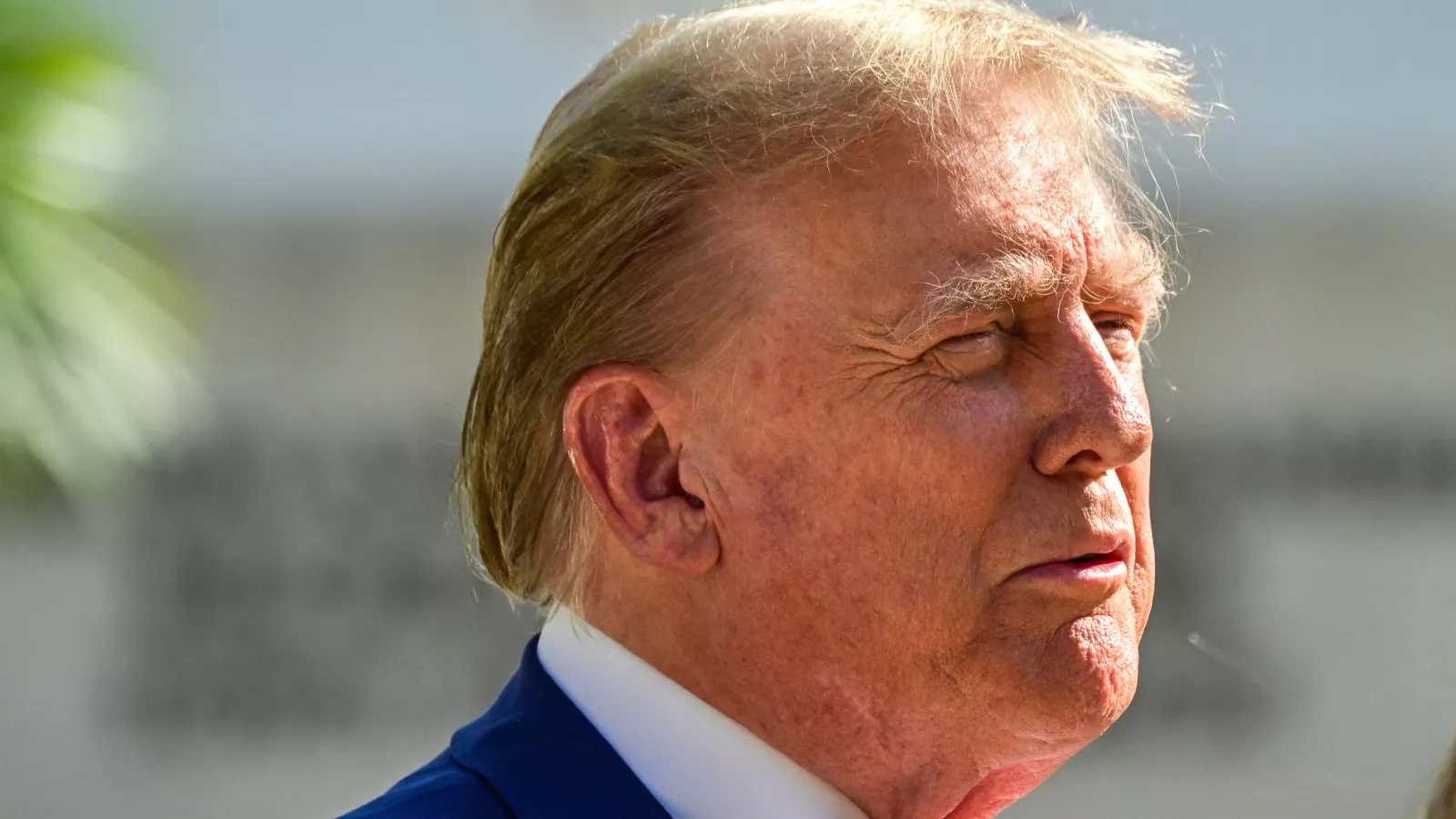 Donald Trump has three ways to escape bond problem: Legal analyst