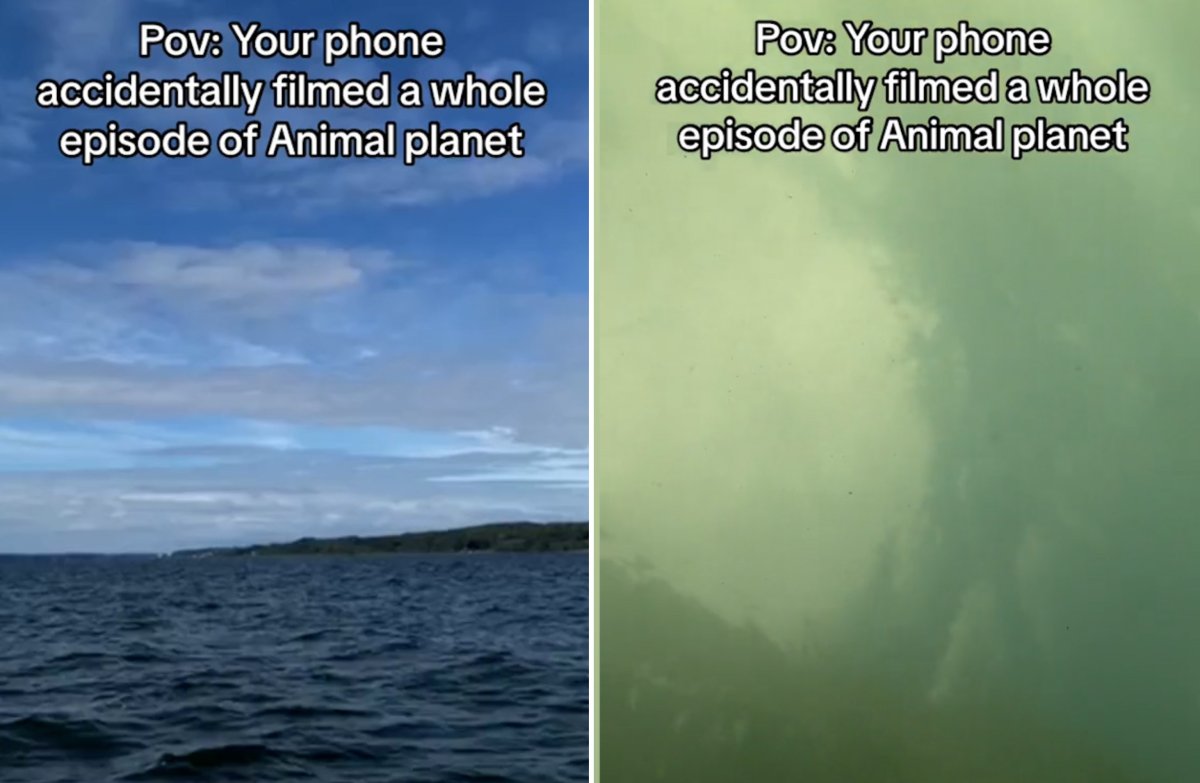 Underwater iPhone footage from Denmark.