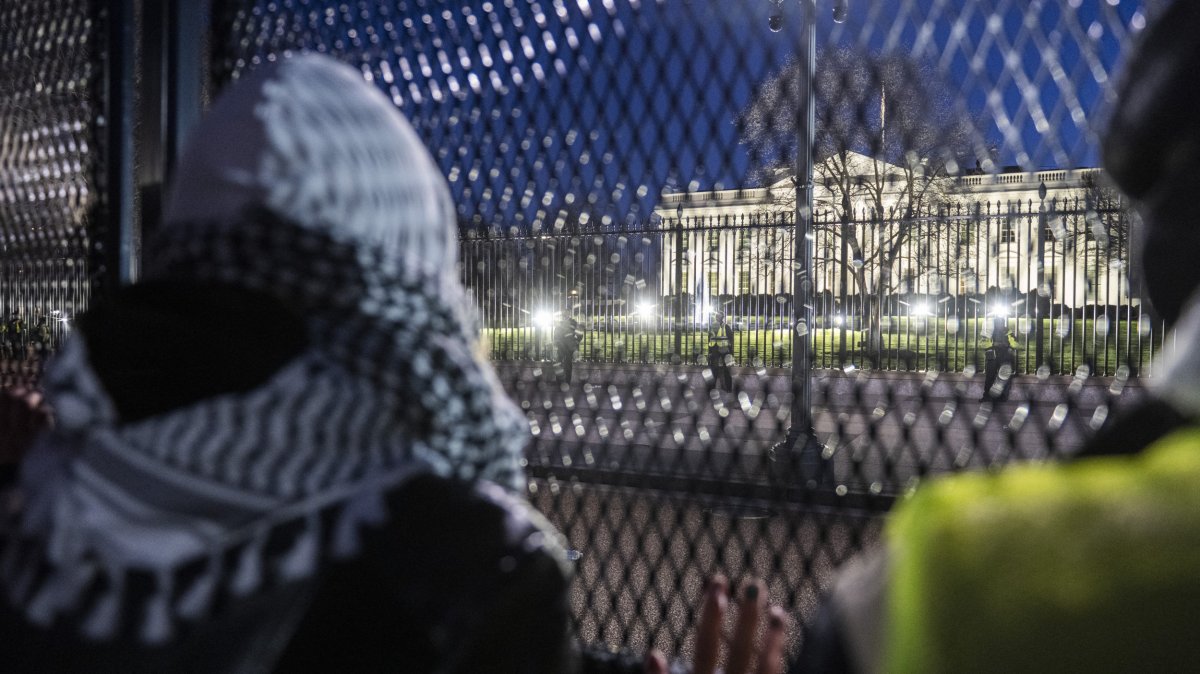 Pro-Palestinian, protesters, at, White, House