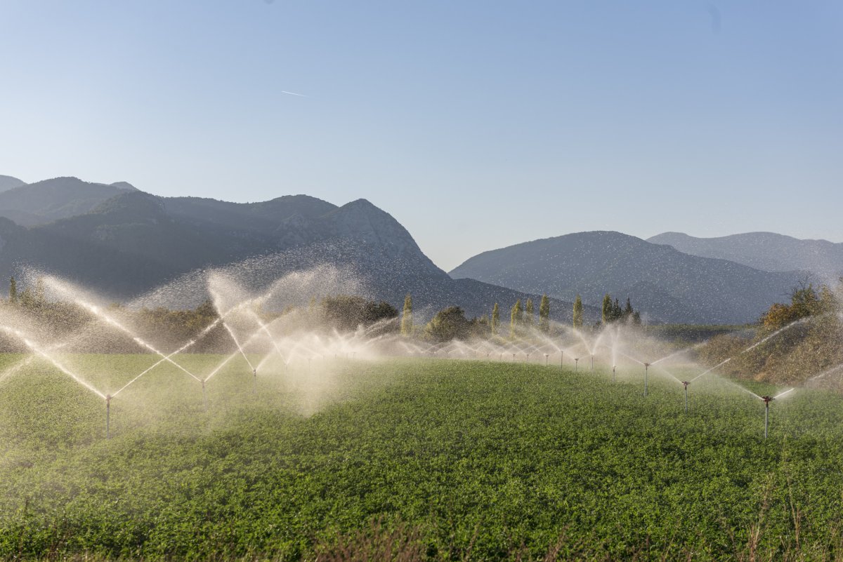 Crops being watered