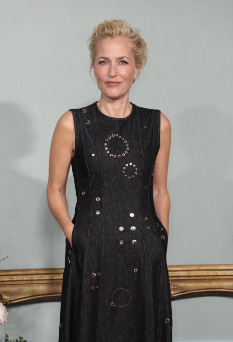 CUL_PS_Gillian_Anderson