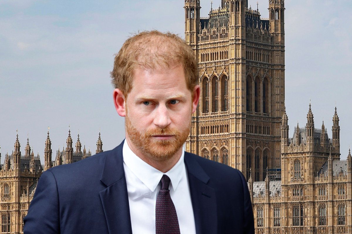 Prince Harry and Parliament
