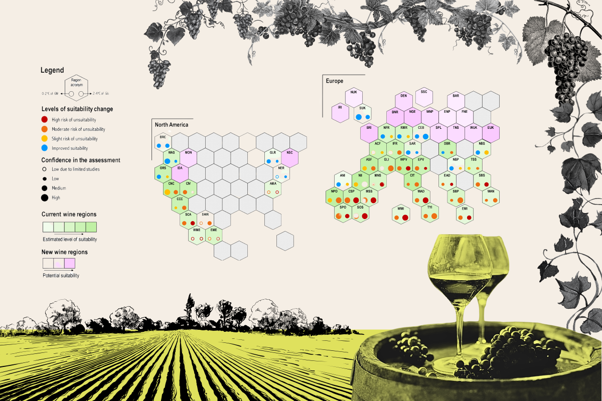 Wine Growing Regions Suffer With Greater Warming 