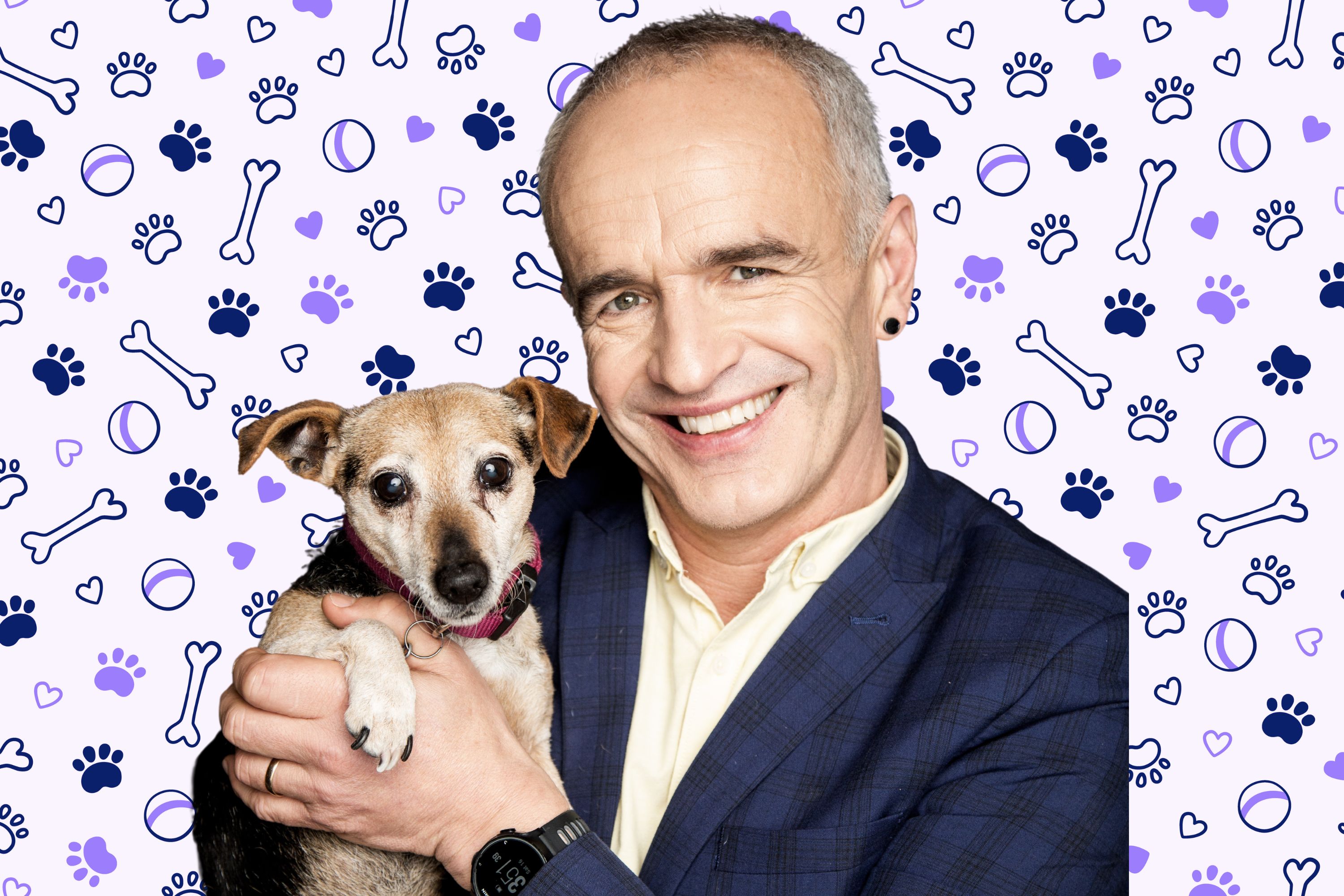 5 Things To Give You More Years With Your Dogs According To A Vet 