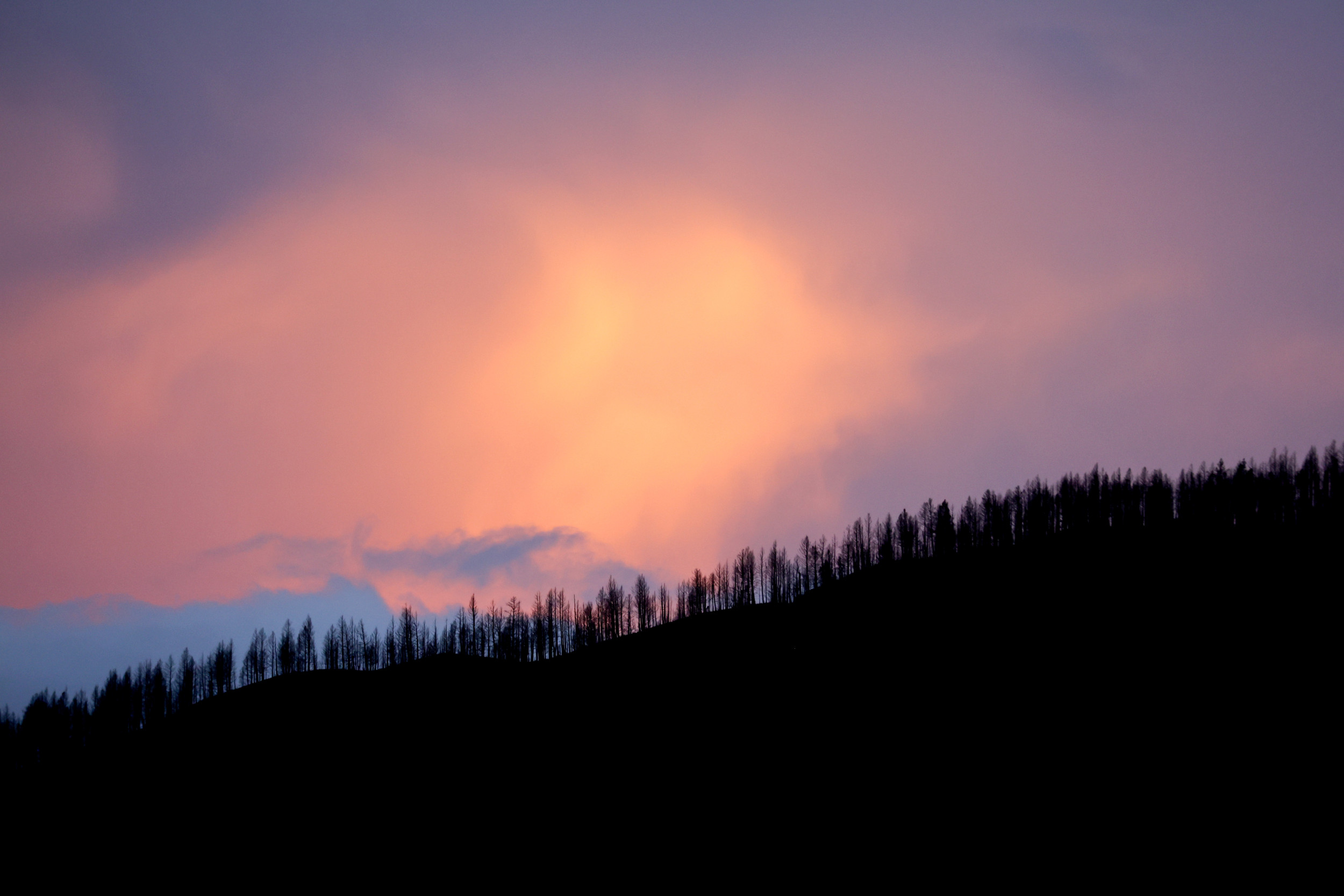 Red Flag Weather Warnings for Five States Amid Fears of 'Rapid Fire Spread' - Vimarsana News