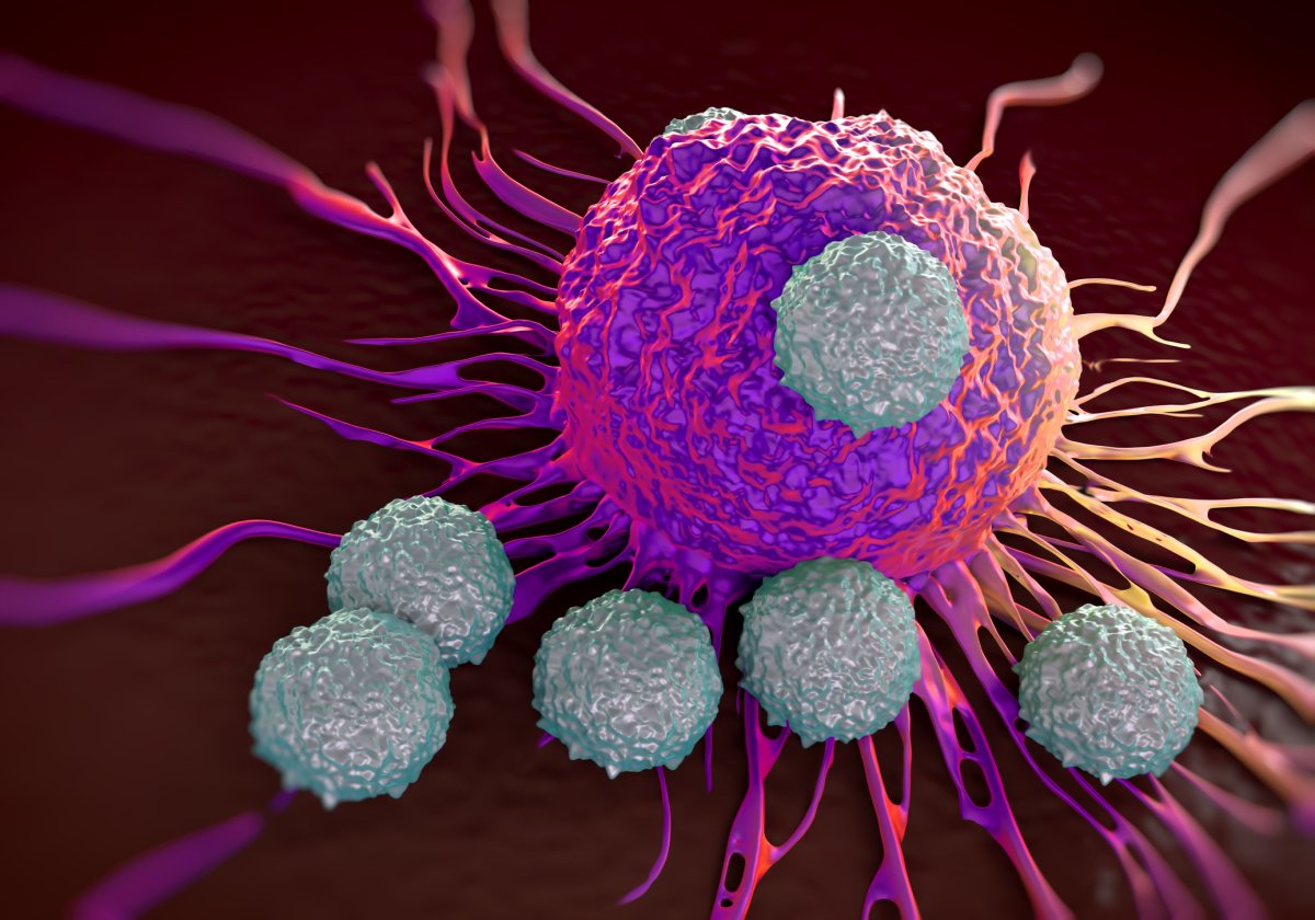 Killer T cells and tumor