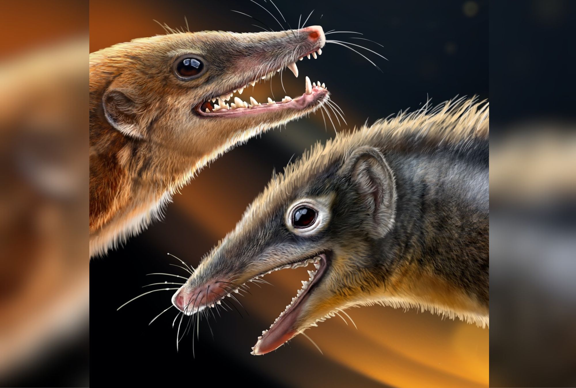 Discovery of Jurassic fossils leads to new theory of mammals
