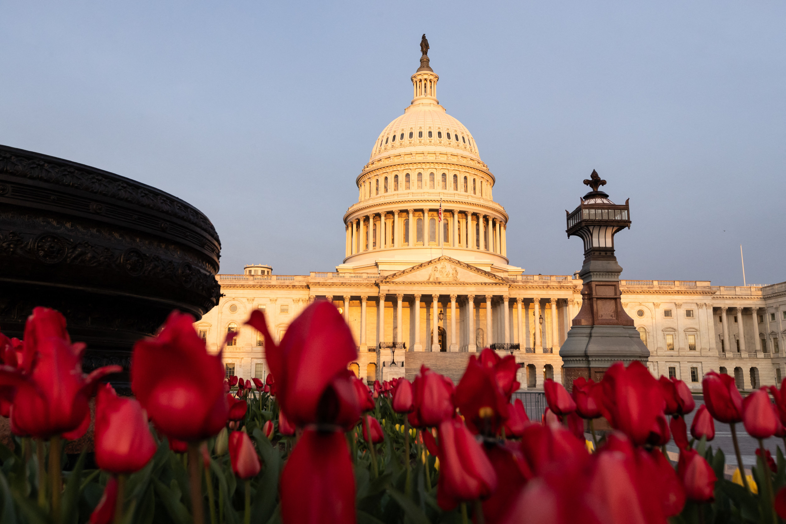 Congressional Brain Drain Is No Laughing Matter | Opinion