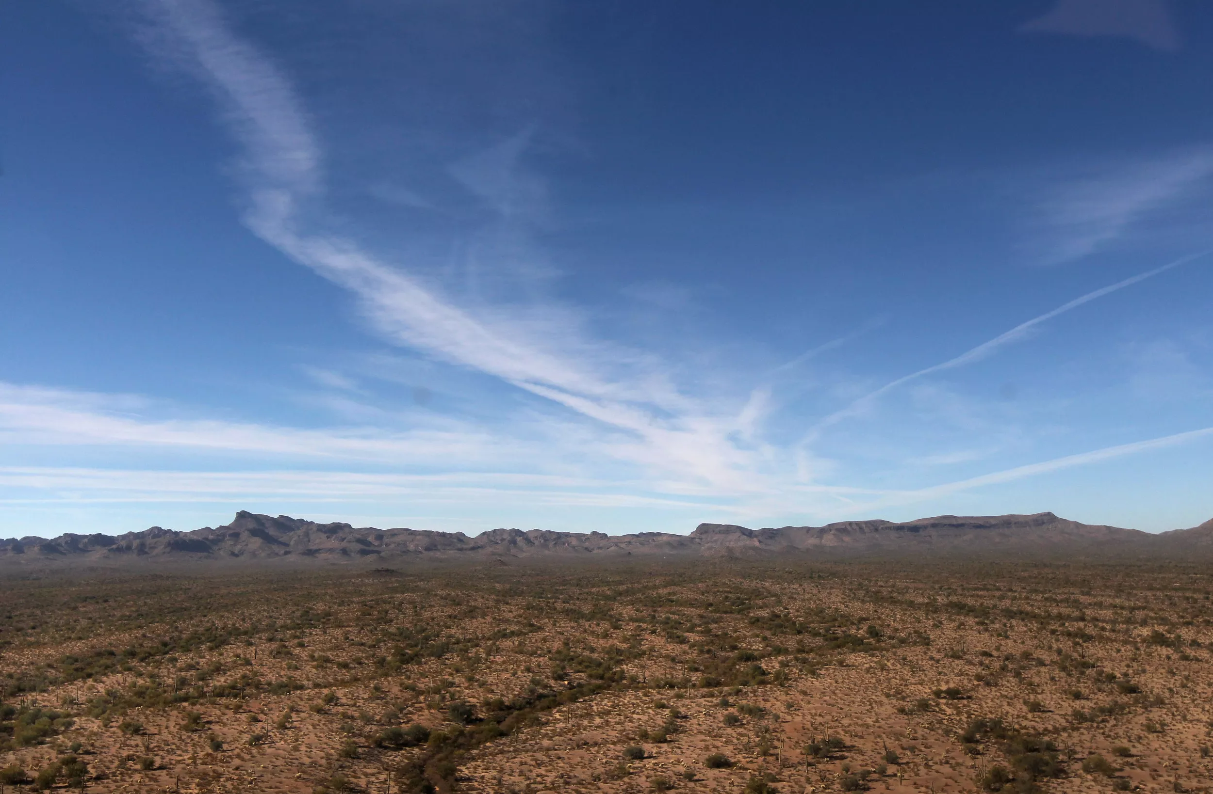 Woman's Body Found in Desert One Month After 911 Call - Vimarsana News