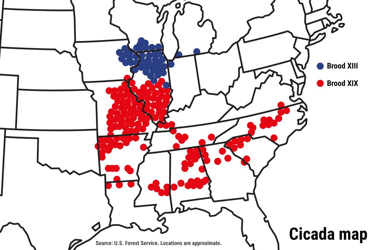 Cicadas map