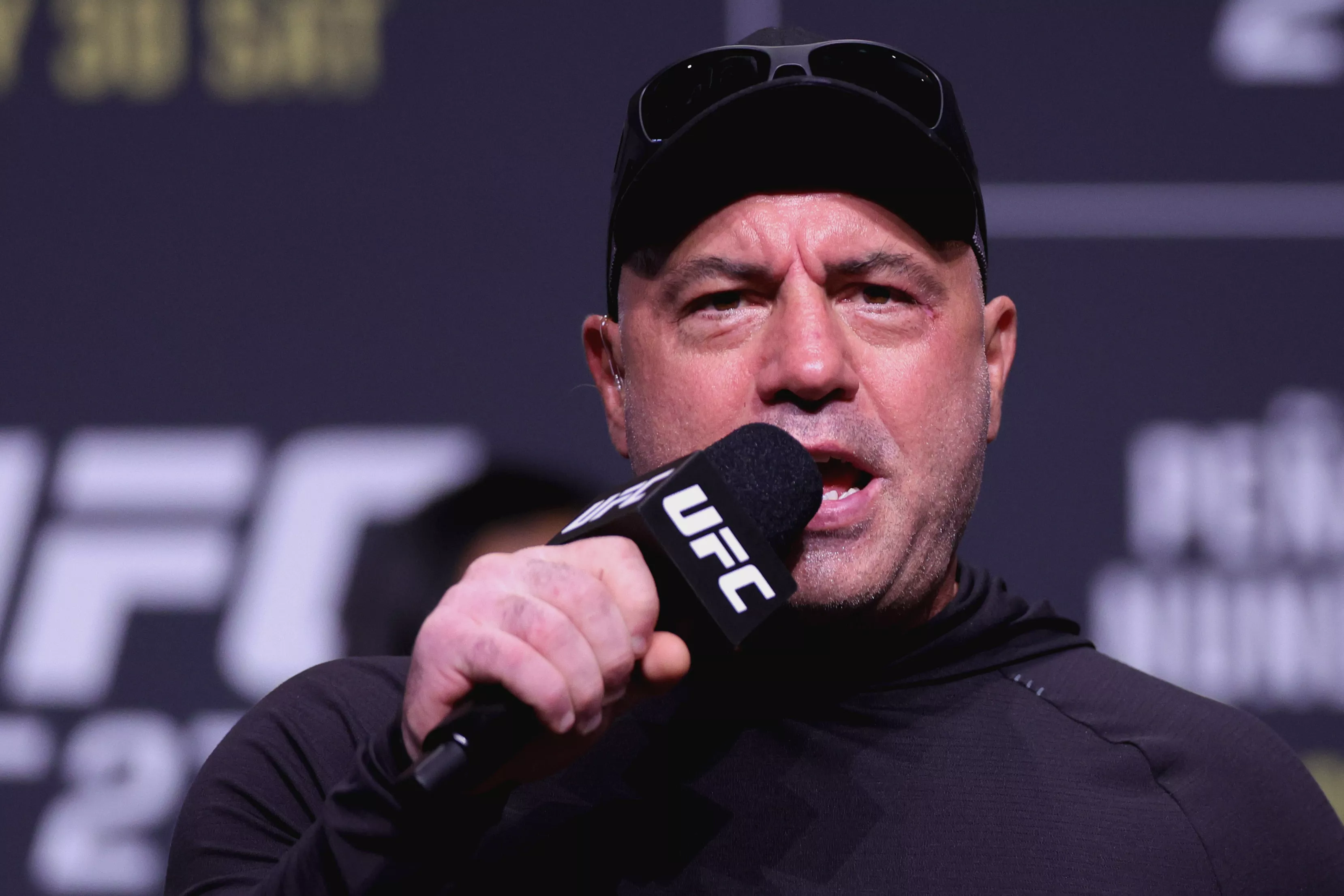 Why Joe Rogan Just Slammed 'The View' — And Didn't Hold Back - Vimarsana News