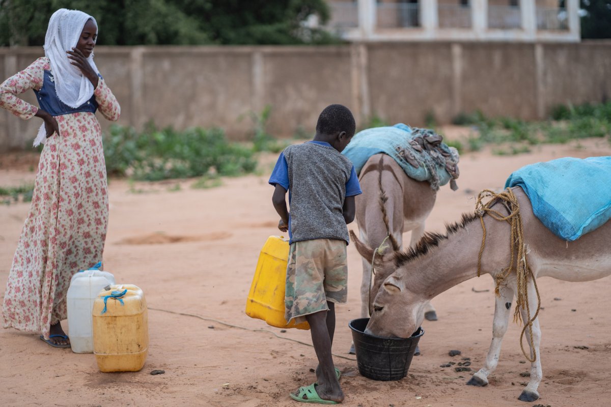 A child gives water to a donkey 