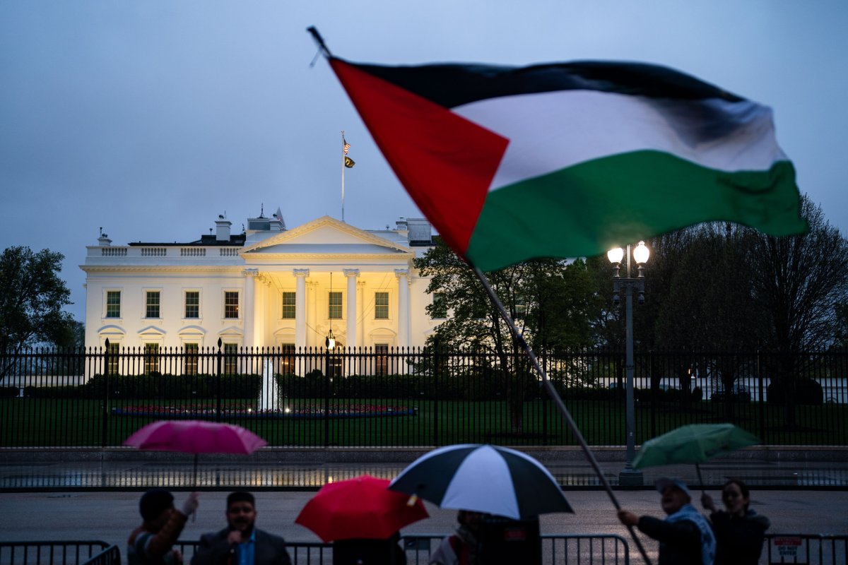 Pro-Palestinian demonstrators