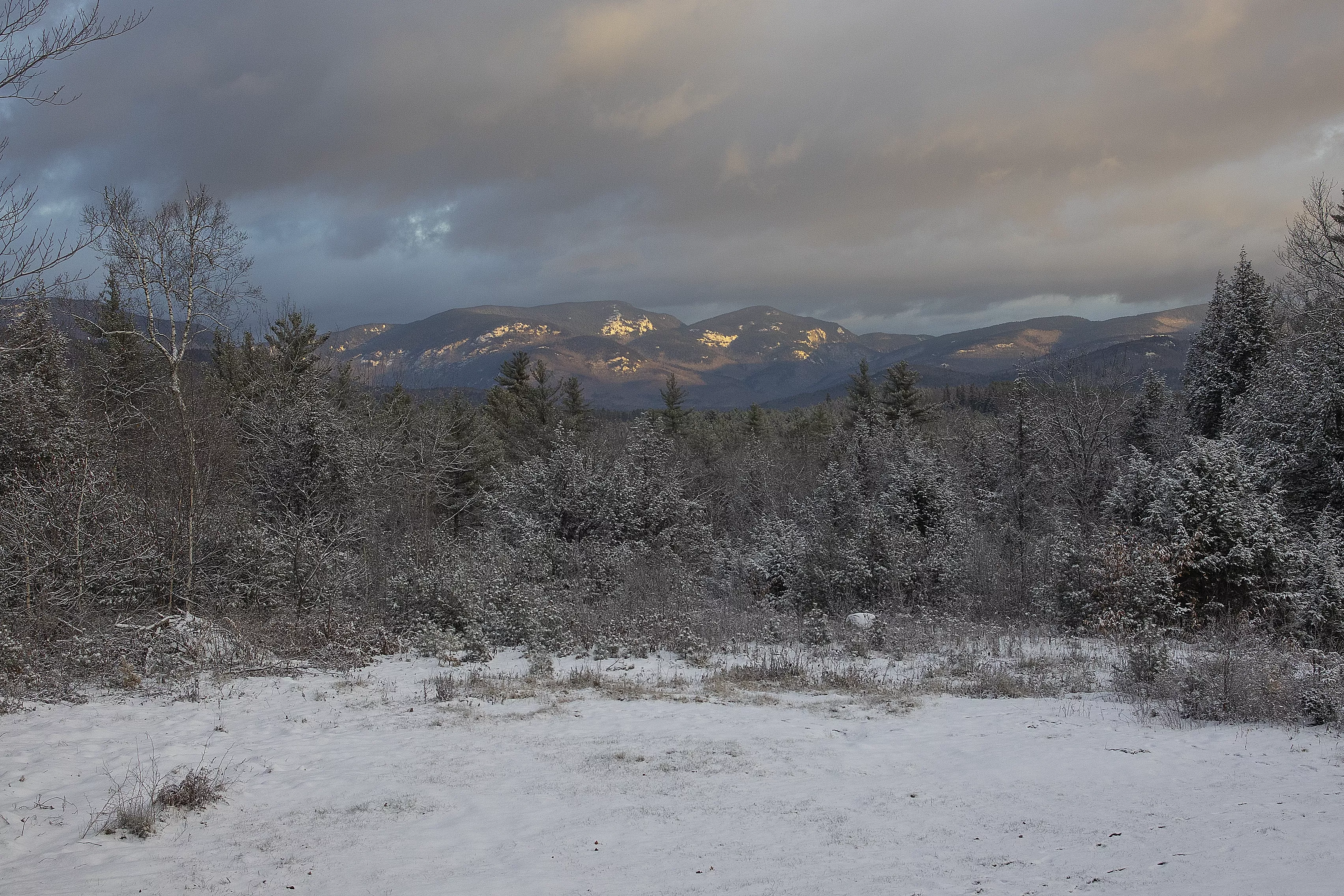 Winter Storm Warning for 9 States As Intense Snow Forecast - Vimarsana News