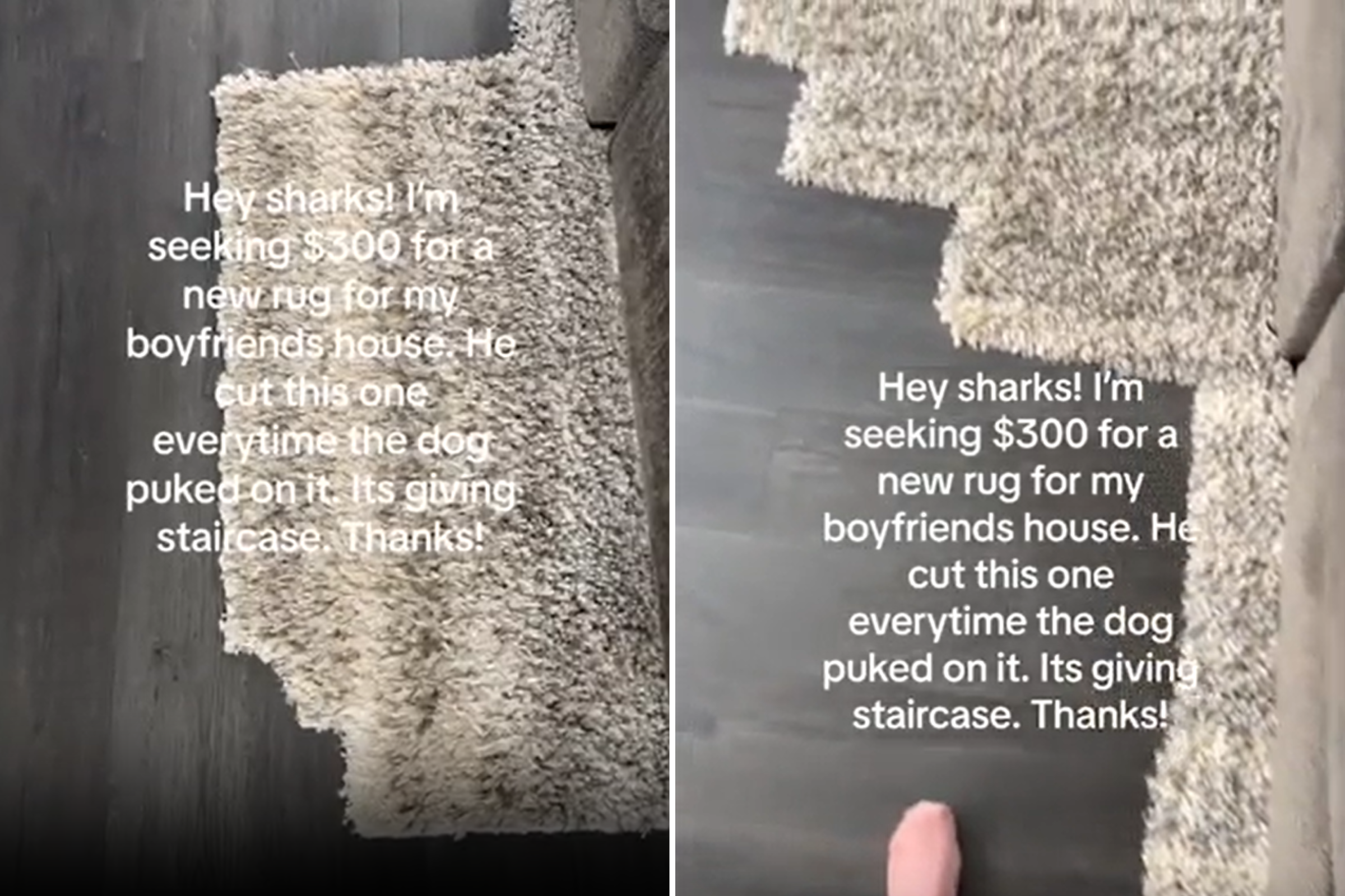 Reason boyfriend keeps cutting chunks off rug has woman pleading for help